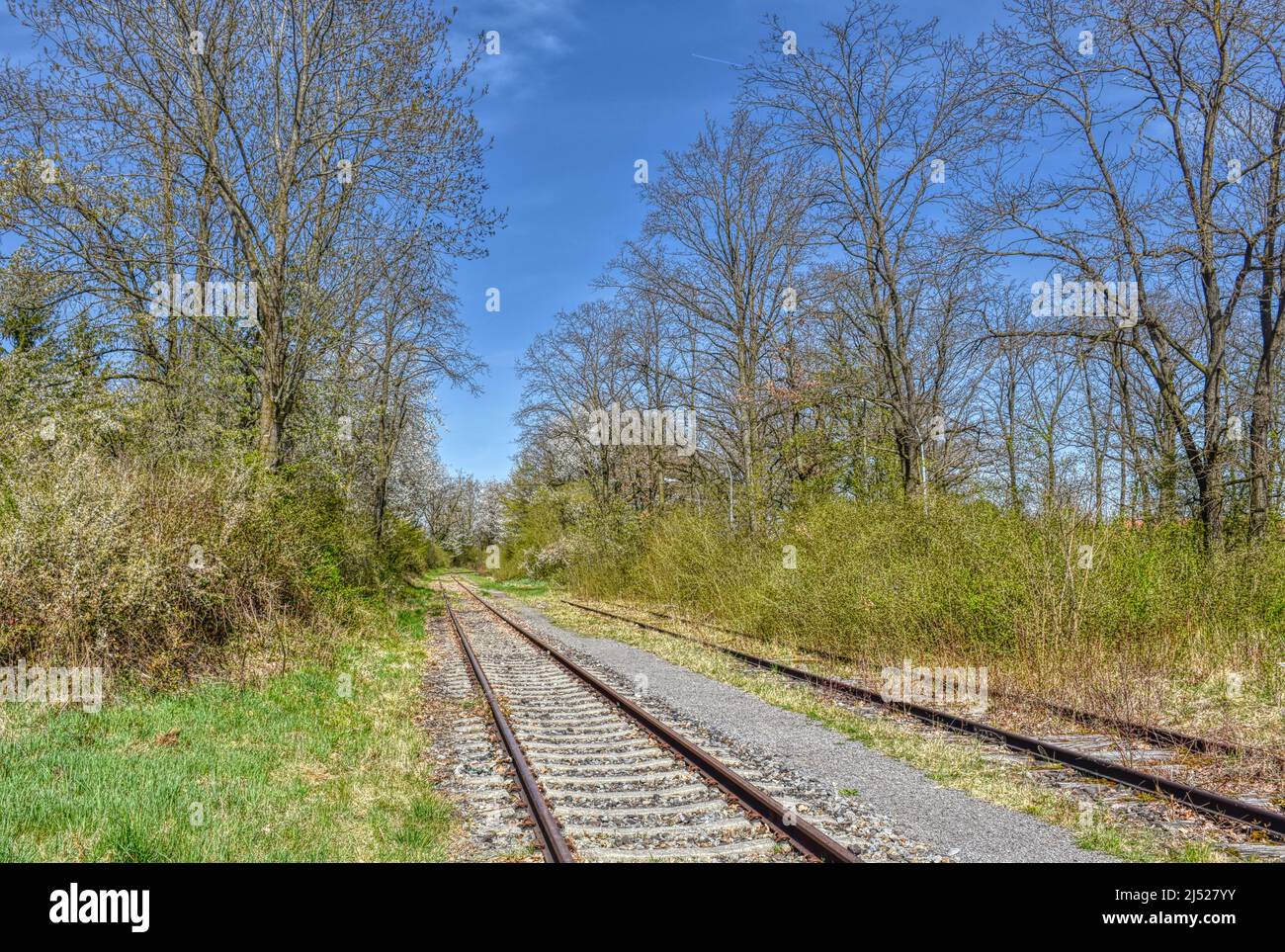 Gleis, Gleisen, Anschlussgleich, Normalspur, Gleisbett, Schotter, Schotterbett, Schwelle, Beton, Holz, Eisen, modern, stillgelegt, zweigig, Ros Stockfoto