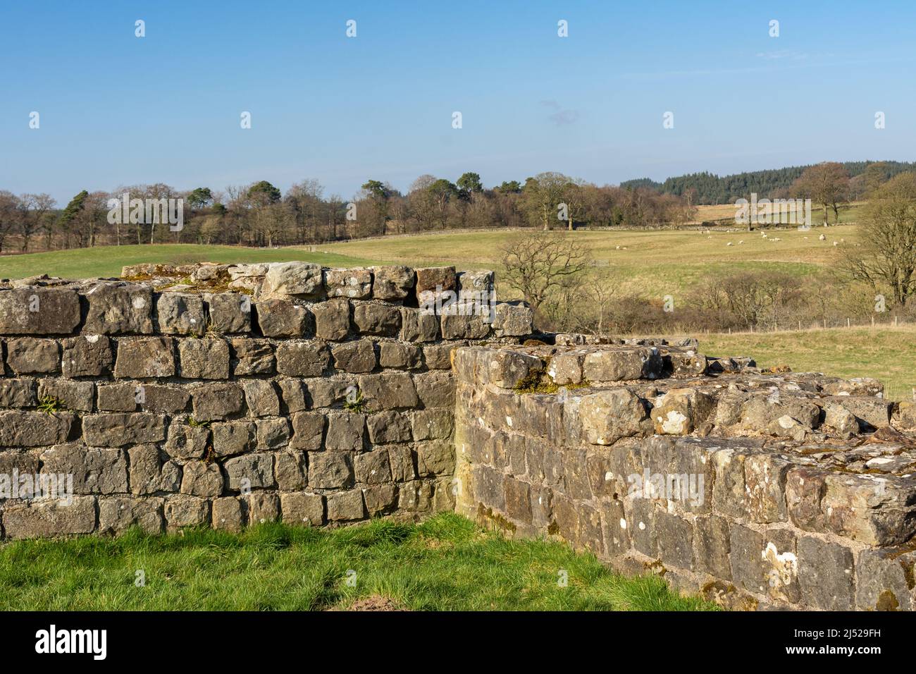 Die Hadrianmauer, auch als römische Mauer bekannt, ist eine ehemalige Verteidigungsfestung der römischen Provinz Britannien, die 122 n. Chr. unter der Herrschaft von begann Stockfoto