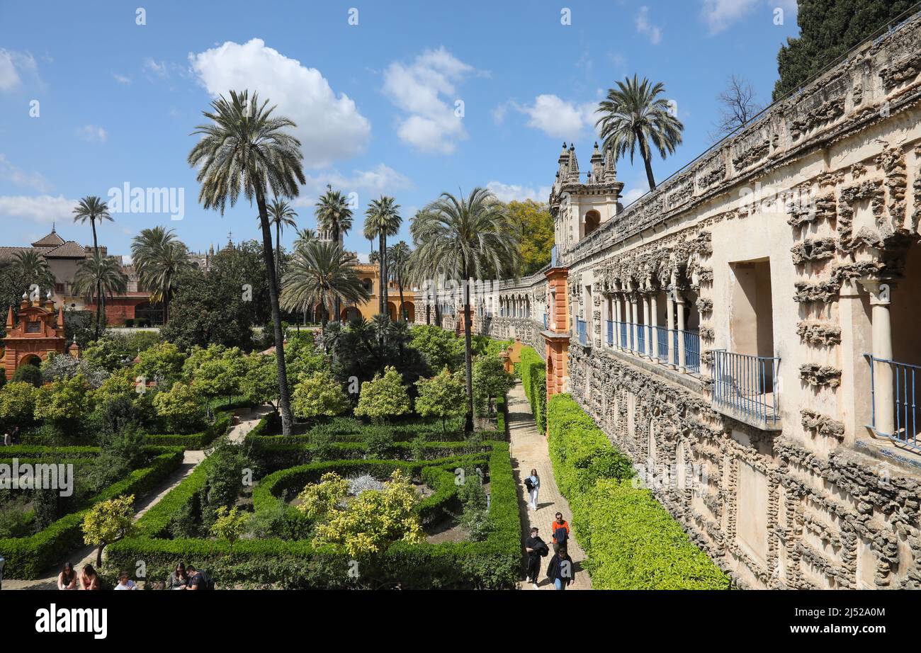 Die Galleria de Grutesco und das Portal des Privilegs in den Gärten des Königlichen Alcázars von Sevilla, einem Königspalast in Sevilla, Spanien. April 2022 Stockfoto