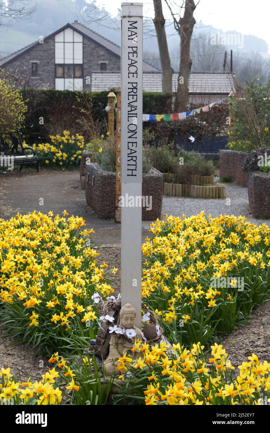 Möge Frieden auf der Erde herrschen, hölzerner Wegweiser Stockfoto