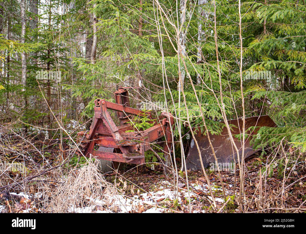 Alte verlassene Landwirtschaft Pflügemaschine im Wald, Bäume wachsen durch. Schrott für Bargeld, Verkauf von alten Schrott-Konzept. Stockfoto