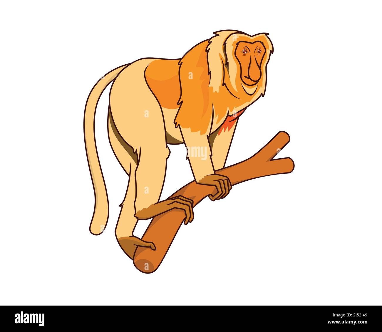 Detaillierte Proboscis Affe mit ruhig aussehenden Geste Illustration Vektor Stock Vektor