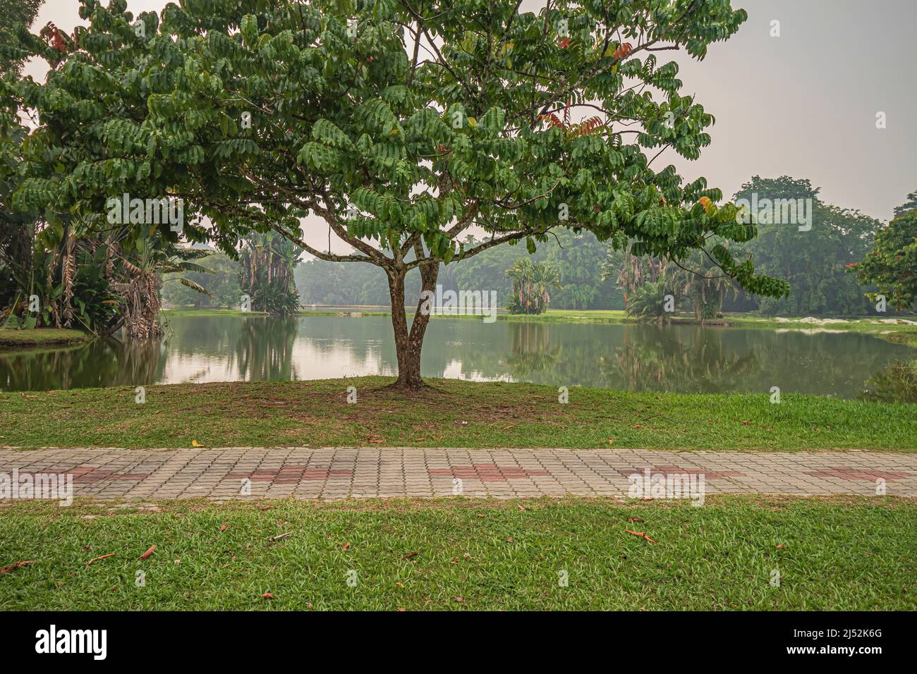Fußweg am See am Taiping Lake Garden oder Taman Tasik Taiping am nebligen Morgen in Perak, Malaysia. Stockfoto