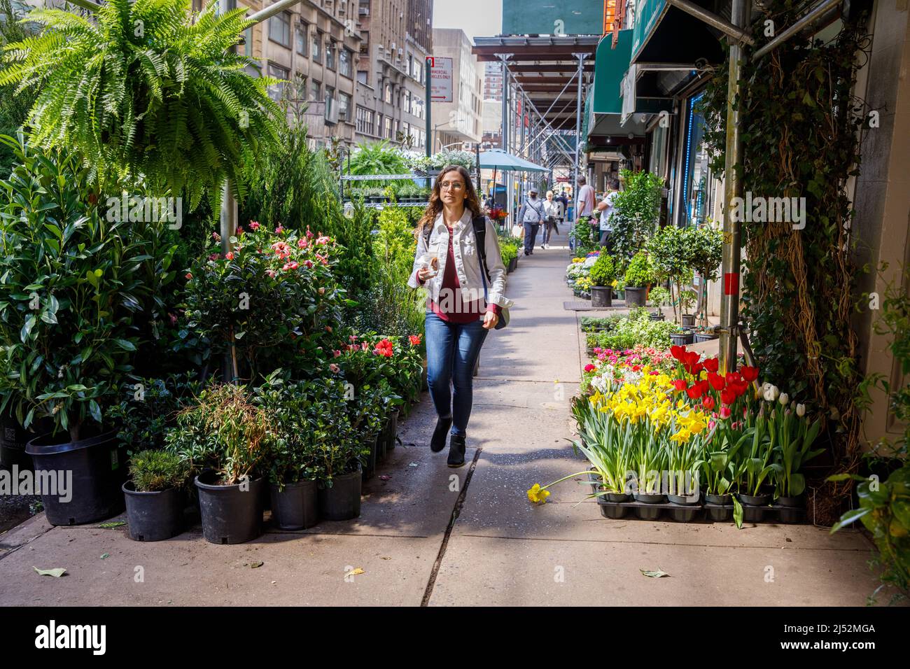 Landschaftlich schöner Bürgersteig im Flower District, 28. Street, Manhattan, New York, NY, USA. Stockfoto