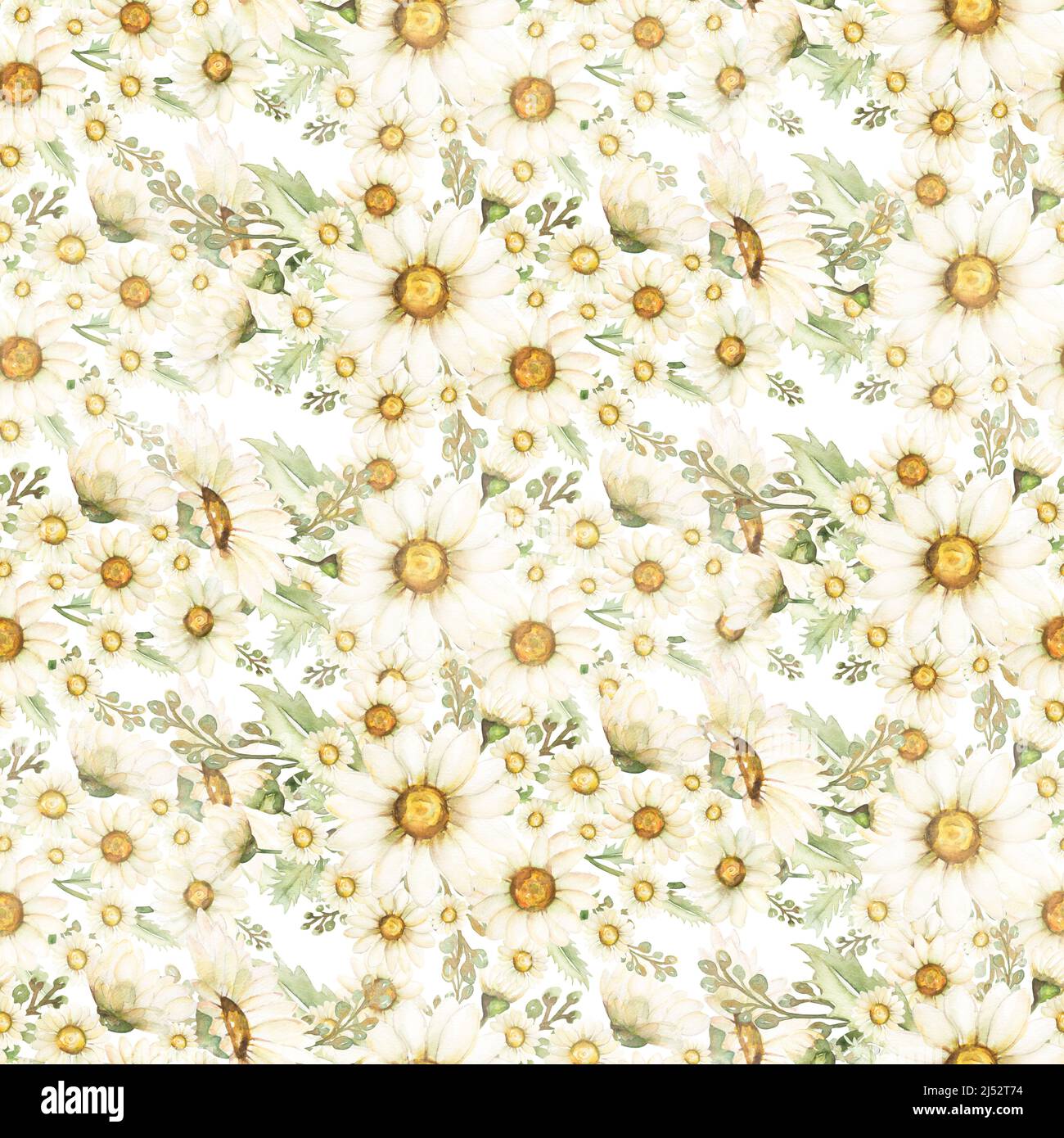 Aquarell handgezeichnete weiße Gänseblümchen Blumen nahtlose Muster, Florals wiederholen Papier, Kamille wiederholen Hintergrund. Scrapbook Papier Stockfoto