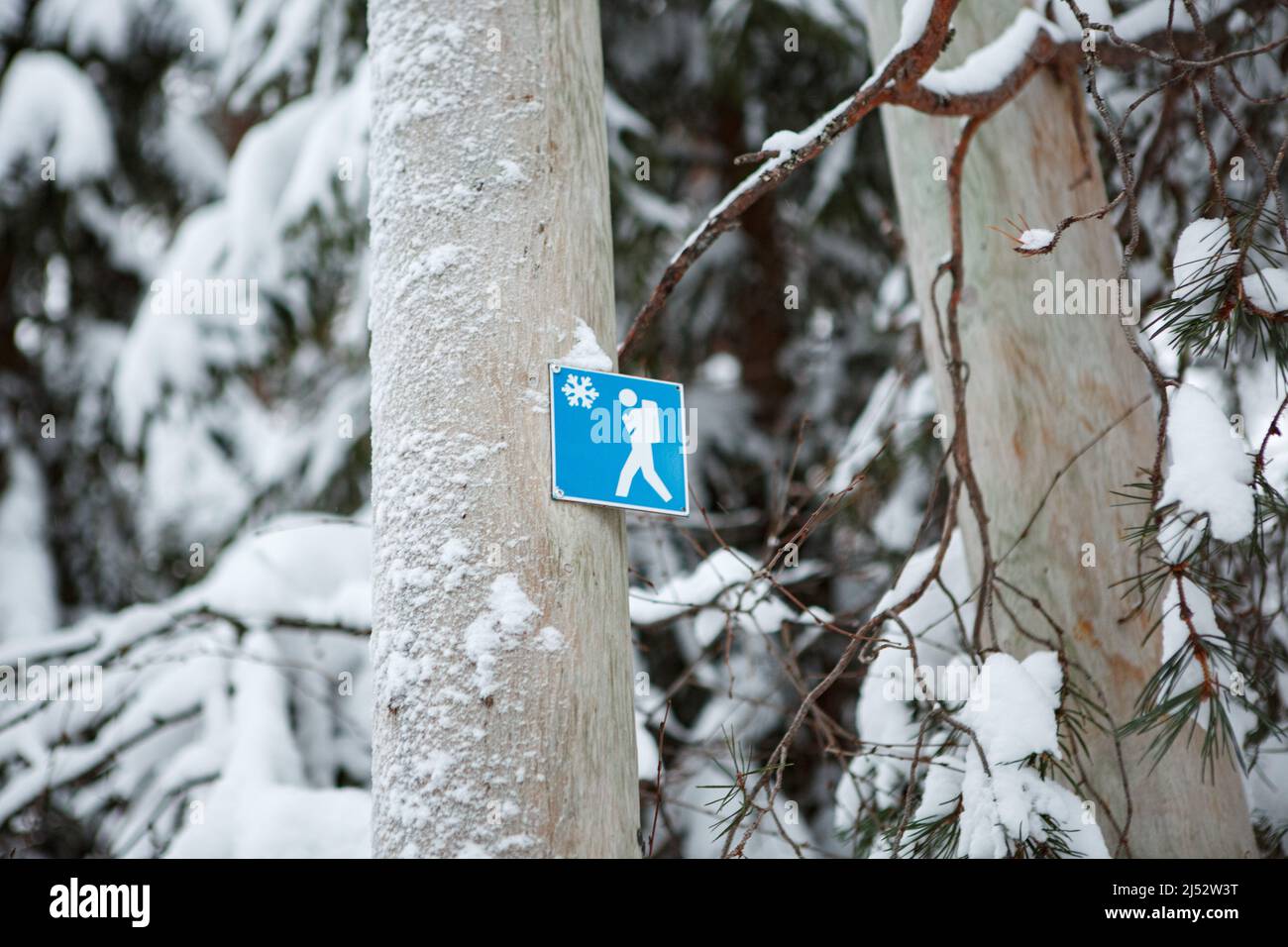 Schneewanderweg-Schild auf einem Baumstamm, Lappland, Finnland Stockfoto