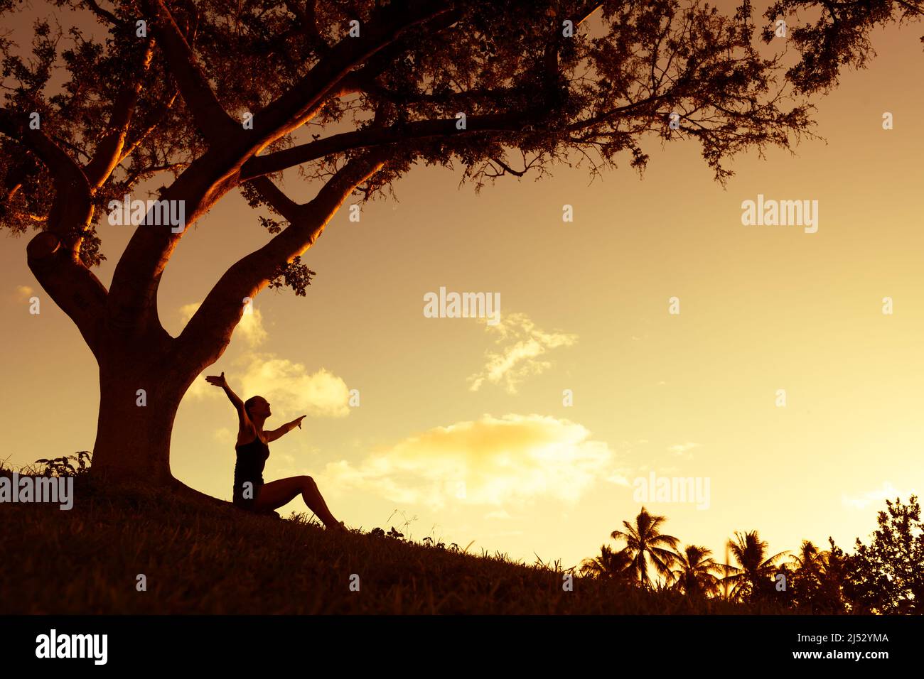 Junge Frau sitzt unter einem Baum mit ausgestreckten Armen und fühlt sich frei, und glücklich im Freien in einem wunderschönen Sonnenuntergang in der Natur Stockfoto