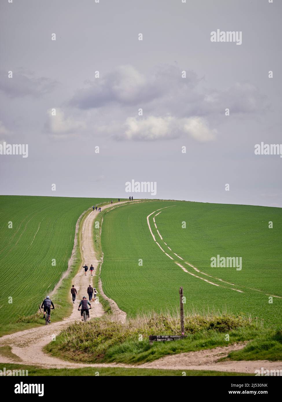 Wanderer und Radfahrer auf dem South Downs Way mit Blick nach Osten am Bignor Hill in West Sussex. Stockfoto