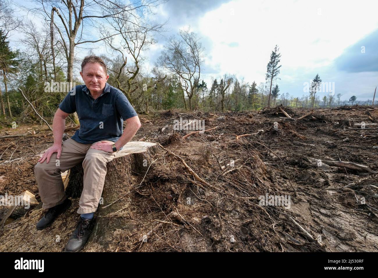 Dr. Ian Rotherham bei Rough Standhills Wood in Whirlow, das durch Forstarbeiten verwüstet wurde Stockfoto