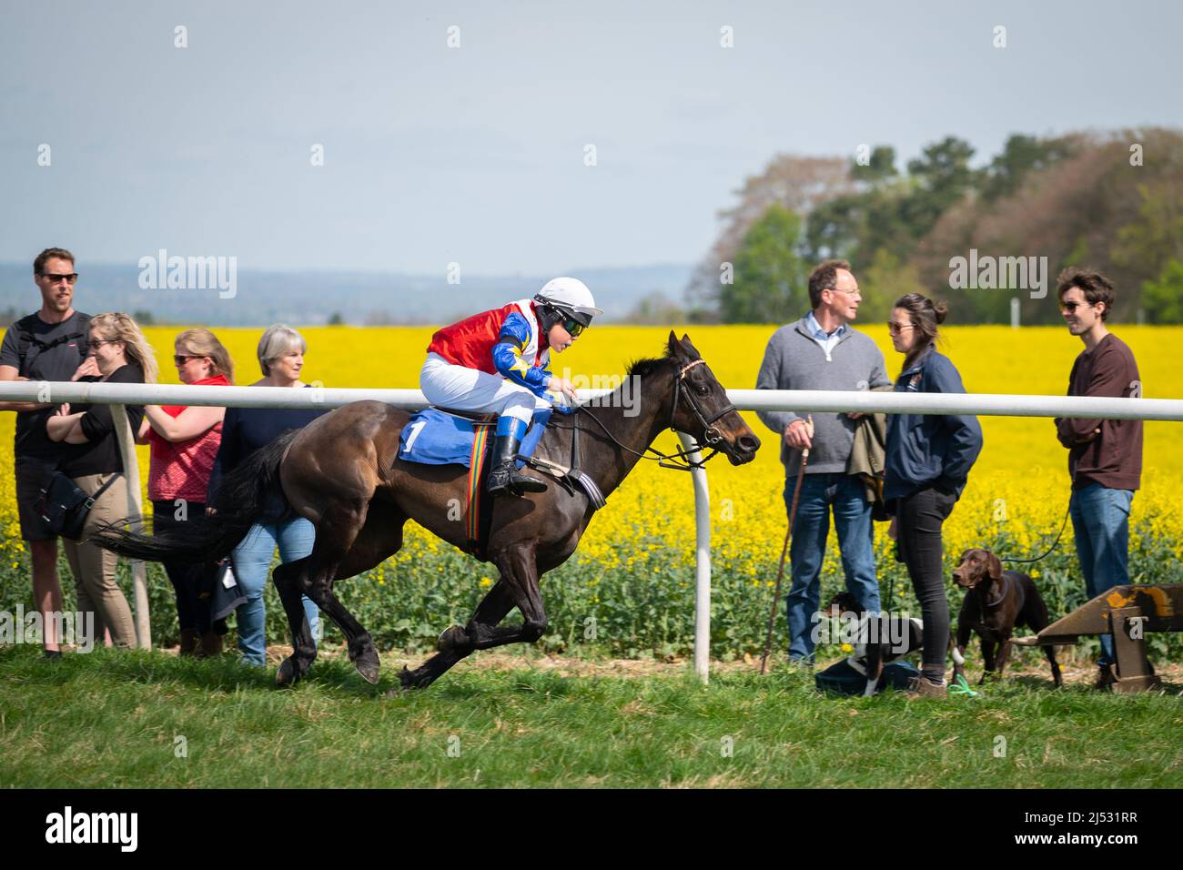 Pony-Rennen in Old Berkshire Hunt Point to Point, Lockinge, Großbritannien 19. April 2022 Stockfoto