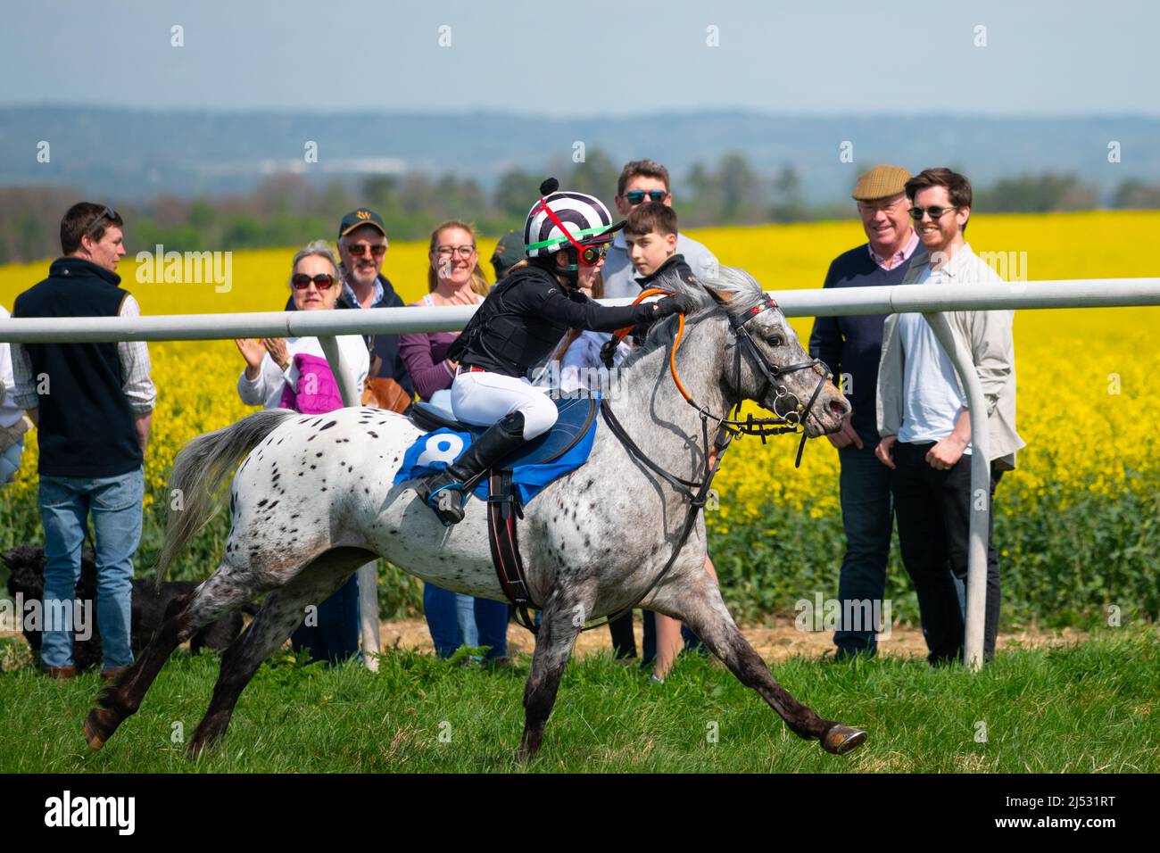 Pony-Rennen in Old Berkshire Hunt Point to Point, Lockinge, Großbritannien 19. April 2022 Stockfoto