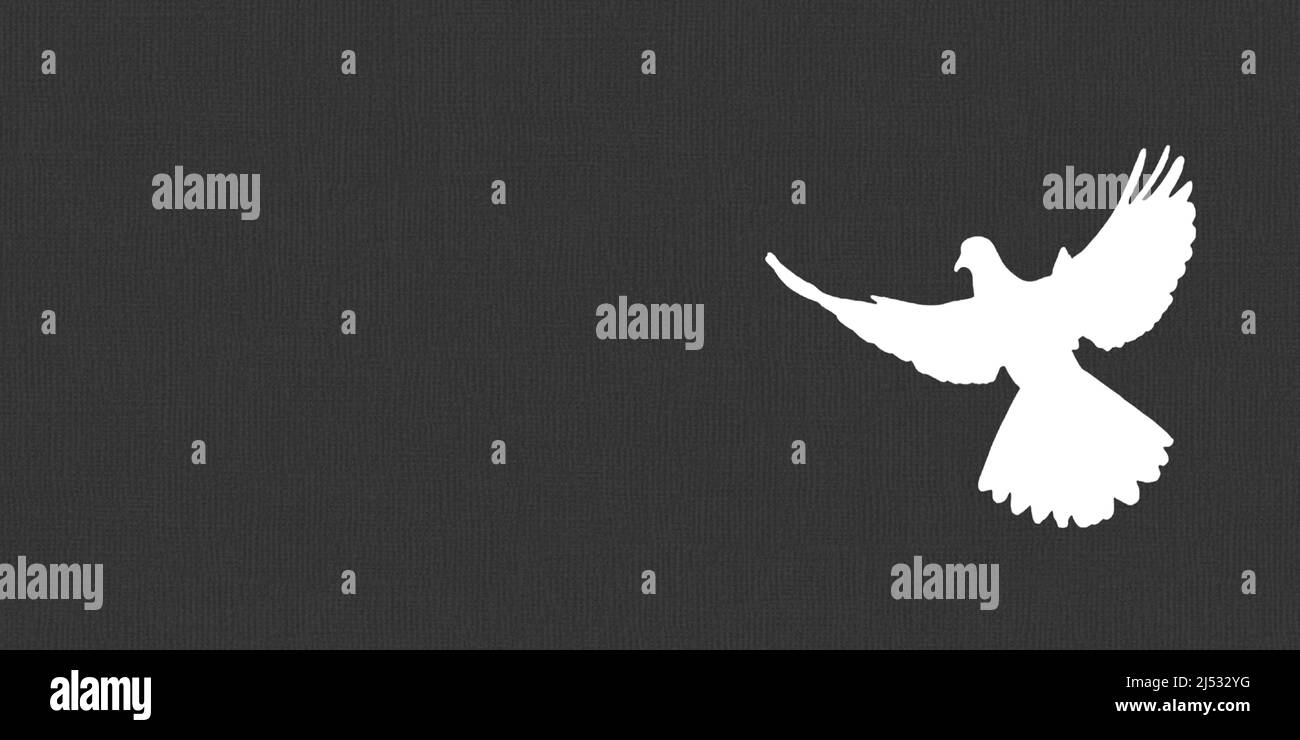 Hintergrund verwendete Stoff Bluttaube Bayern Deutschland Stockfoto