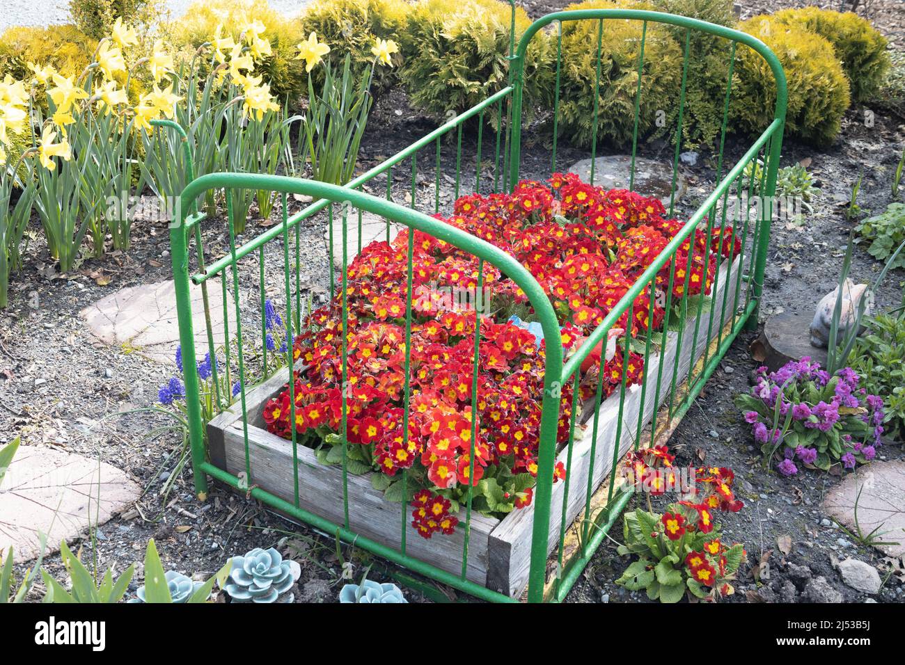 Ein Blumenbeet aus einem echten Bett, das rote Blumen in den Gärten von HCP in Victoria, British Columbia, Kanada, enthält. Stockfoto