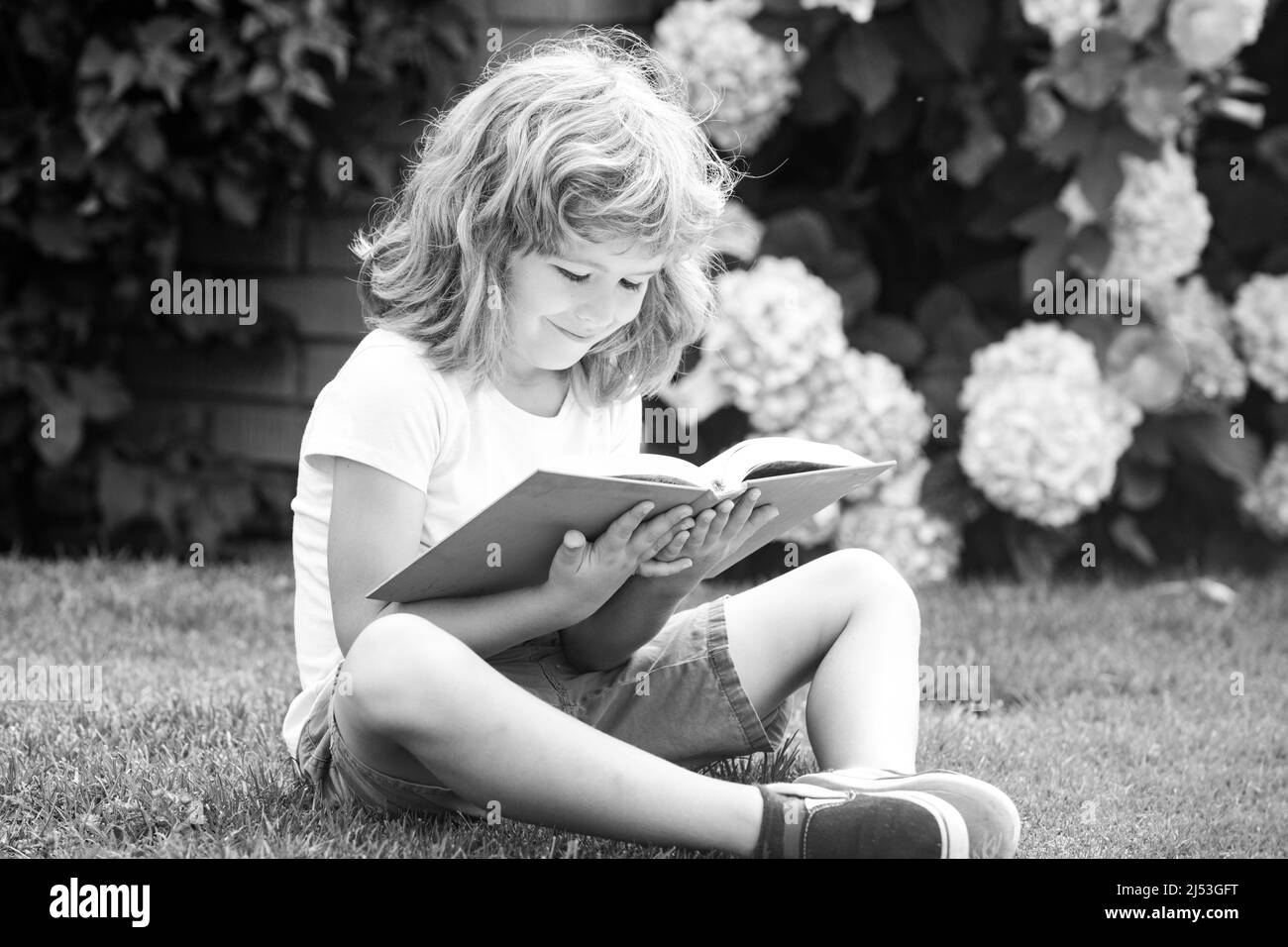 Kind las ein Buch. Kinderschule und Outdoor-Bildung. Natur und Park. Frühzeitiges Lernen. Sommer im Freien. Lernkonzept. Stockfoto