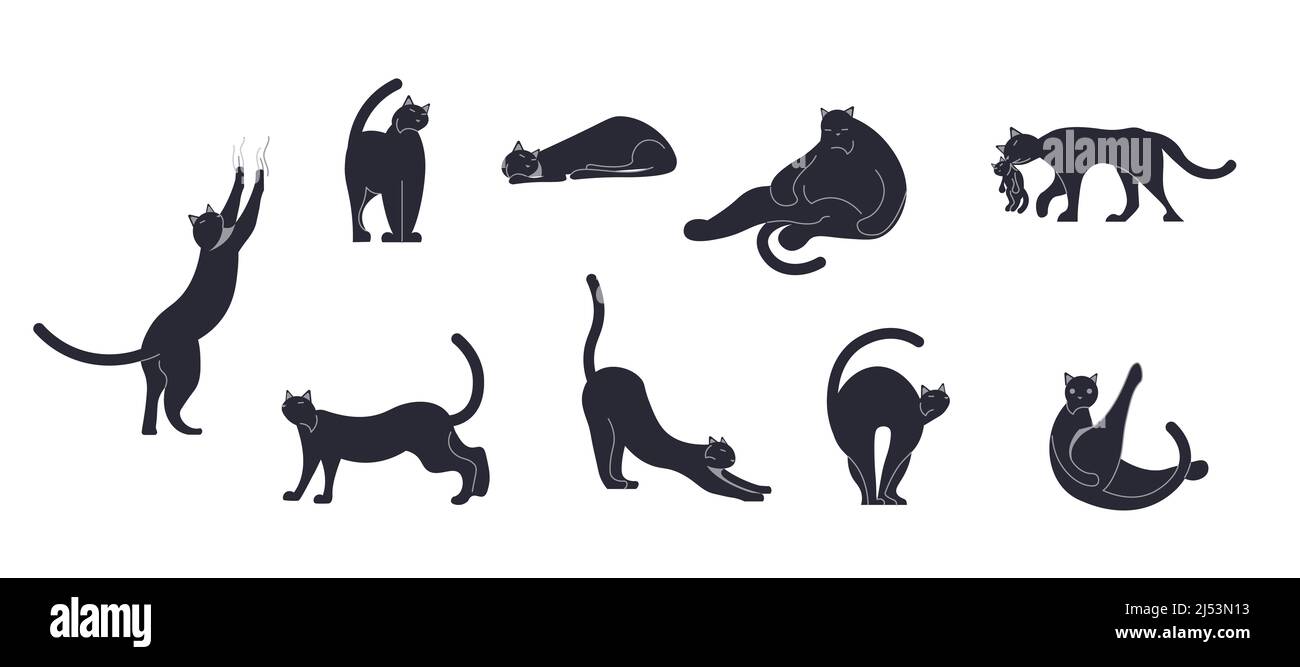 Satz von Katzensilhouetten in verschiedenen Posen isoliert Stockfoto