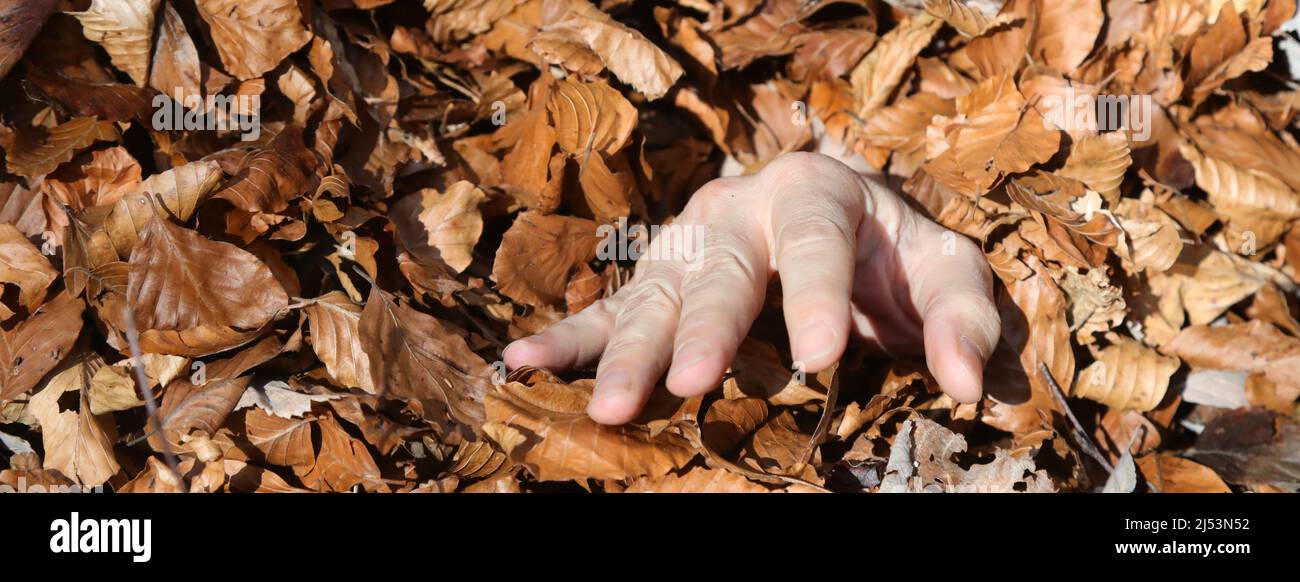 Hilflose Hand des Menschen, die von den trocken gefallenen Blättern des Waldes überflutet wurde Stockfoto