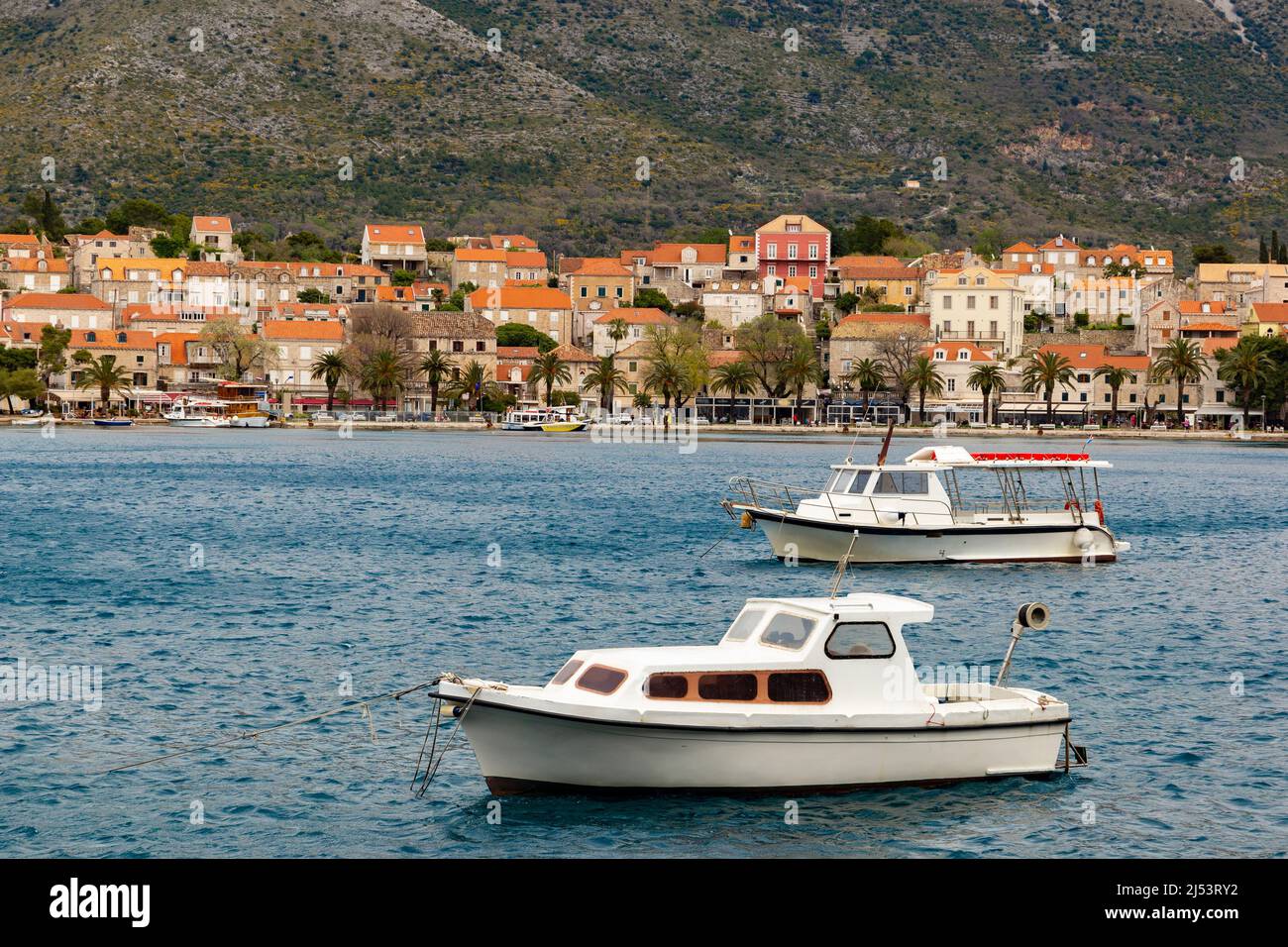 Boote im Hafen von Cavtat. Kroatien Stockfoto