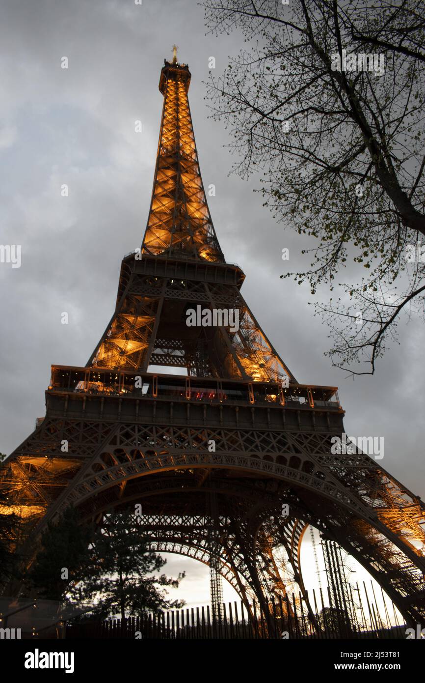 Paris, Frankreich: Ast Trees und der Eiffelturm, Metallturm, der 1889 für die Weltausstellung fertiggestellt wurde und an einem bewölkten Abend beleuchtet wurde Stockfoto