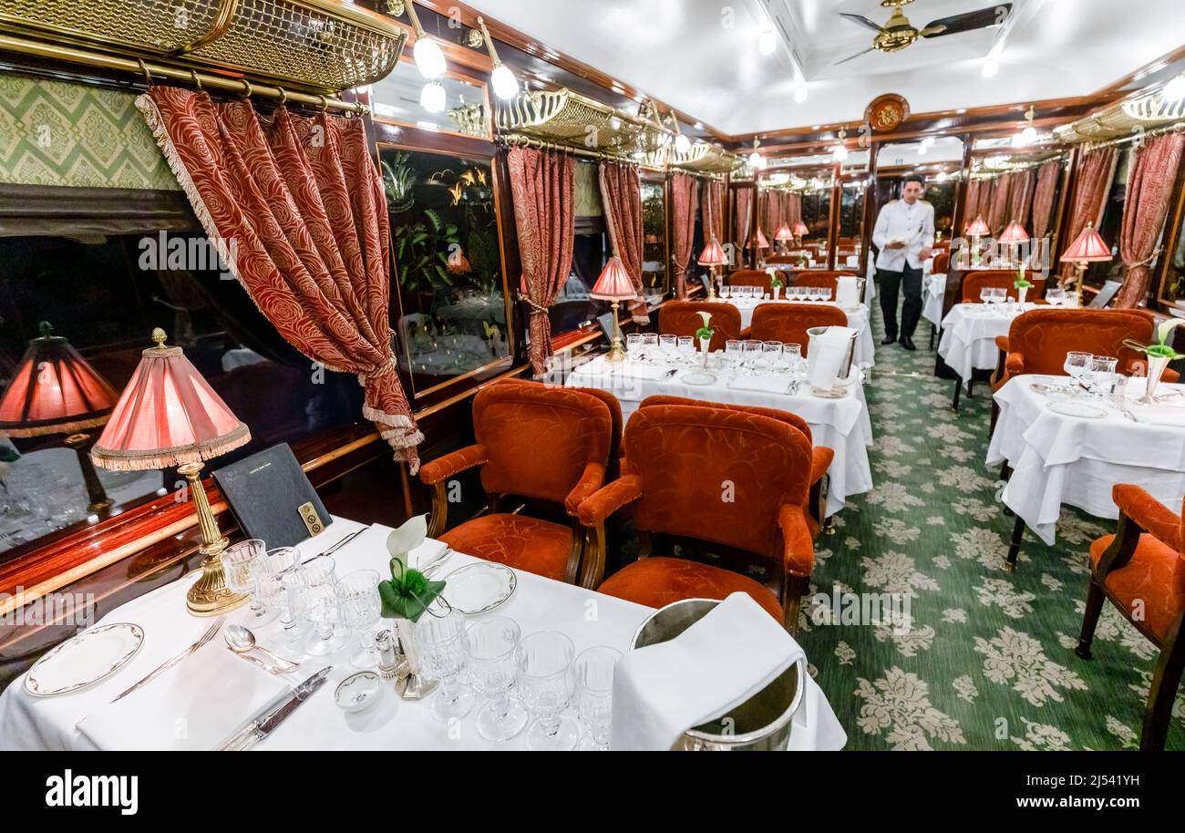 Das Interieur eines luxuriösen Speisewagens auf dem Belmont Venice Simplon Orient Express mit Tischen zum Abendessen Stockfoto