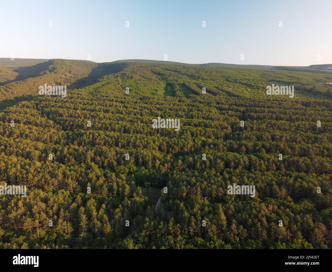 Luftlandschaft im Wald. Schöne europäische Berglandschaft, mit Berggipfeln mit Wald bedeckt. Blick von oben auf die üppig grüne Pflanze am Berg. Stockfoto