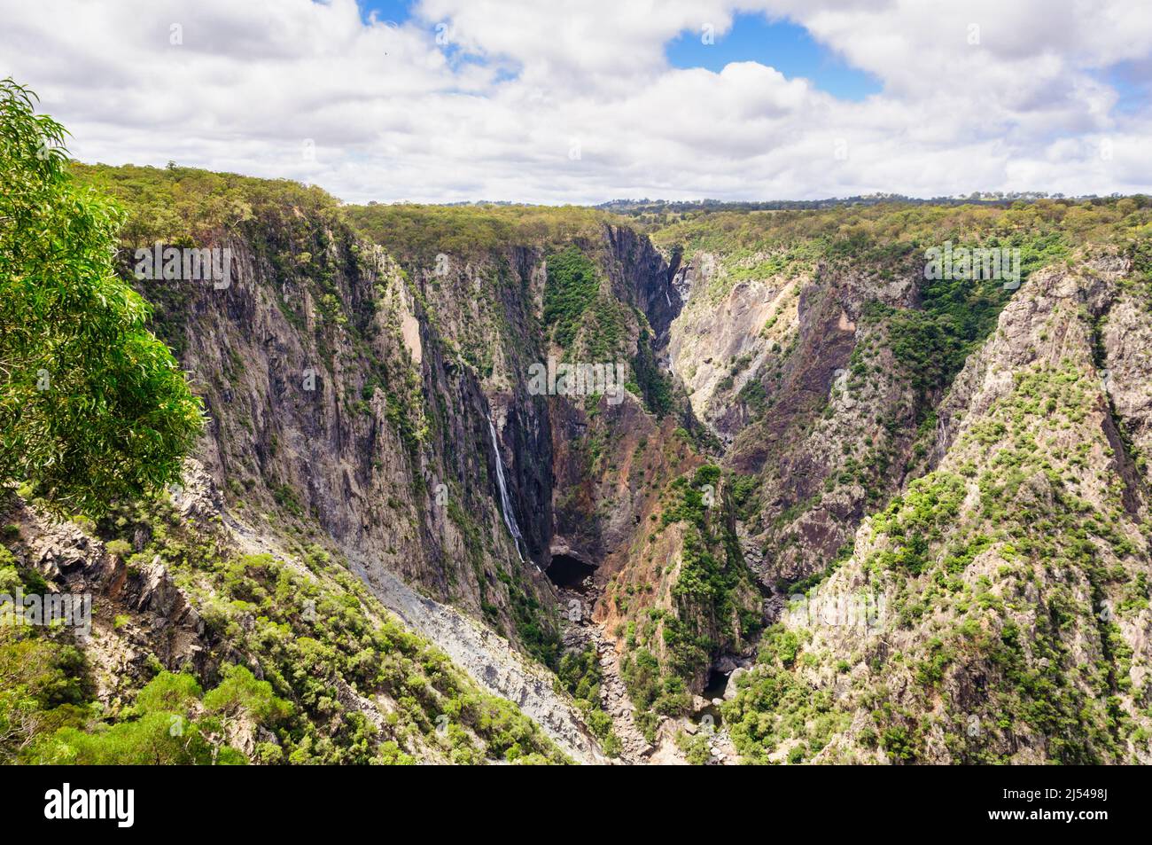 Wollomombi Falls ist ein Wasserfall im Oxley Wild-Nationalpark entlang des Waterfall Way - Hillgrove, NSW, Australien Stockfoto