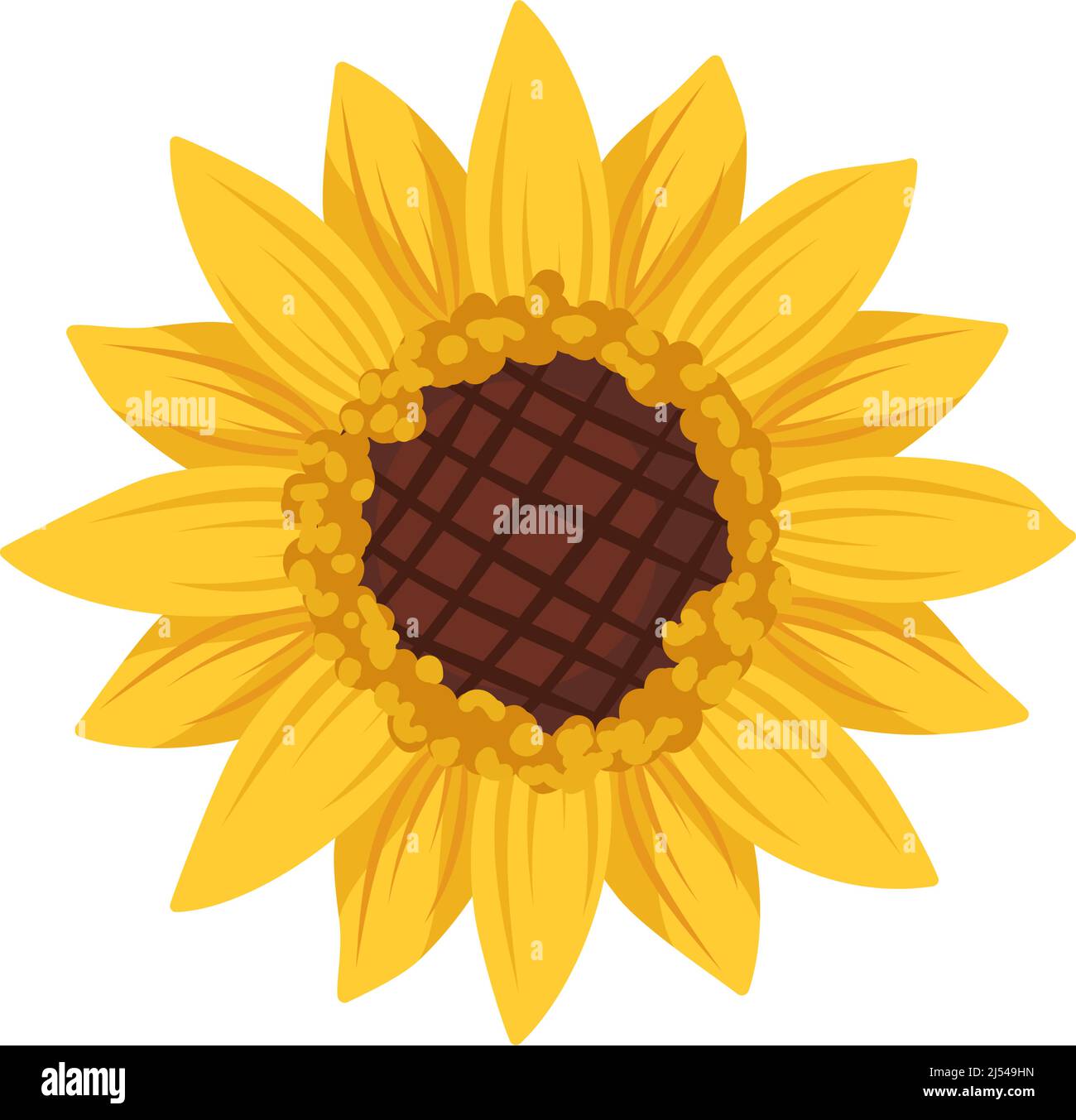 Helle Sonnenblumenblume mit gelben Blättern. Element der Natur, Pflanze für Dekoration und Design. Vektorgrafik flach Stock Vektor