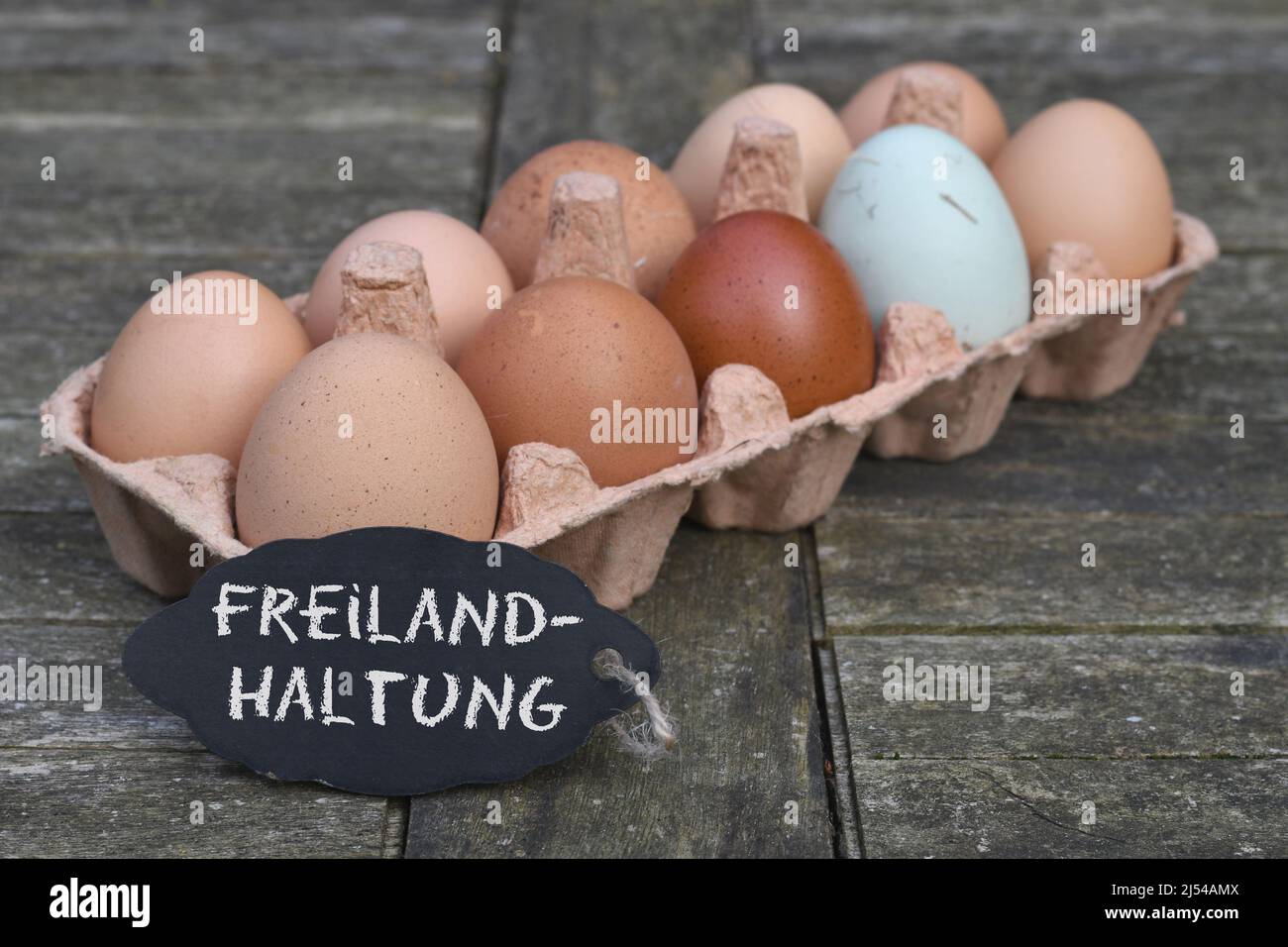Tafel mit der Aufschrift 'Freilandhaltung' vor Hühnereiern im Eierkarton, Deutschland Stockfoto