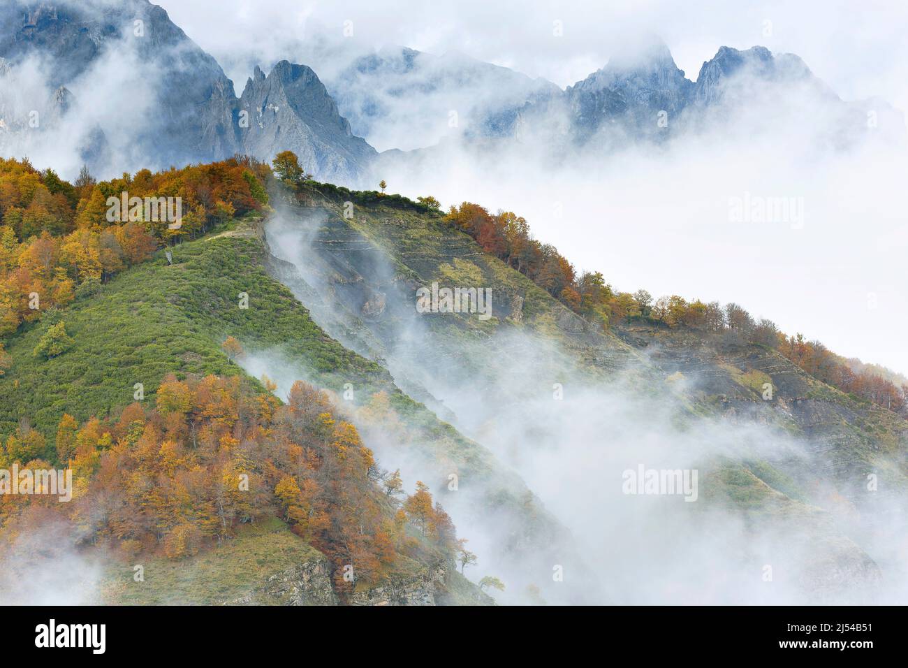 Herbst im Nationalpark Picos de Europa, Spanien, Kantabrien, Nationalpark Picos de Europa Stockfoto