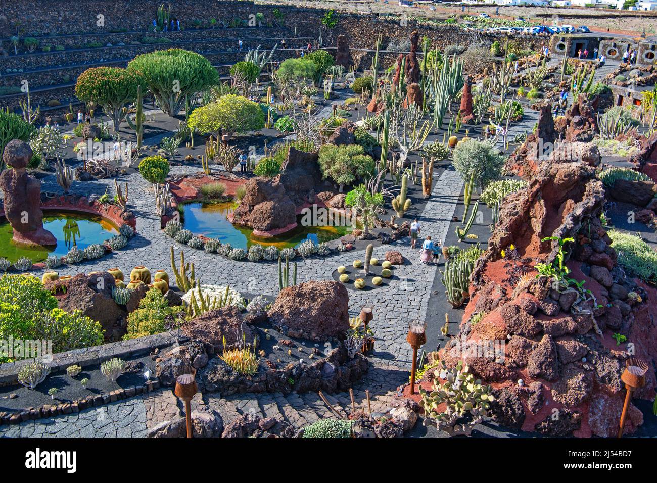 Kakteen Garten Jardin de Cactus von Cesar Manrique, Guatiza, Lanzarote,  Kanarische Inseln, Spanien Stockfotografie - Alamy