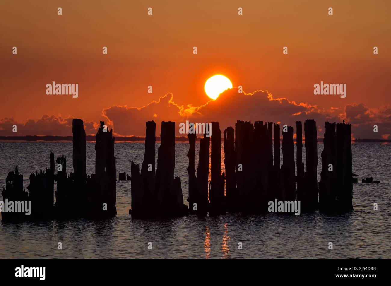 Wunderschöne Aussicht auf das Meer am Morgen. Holzballen an der polnischen Küste mit der Morgensonne im Hintergrund. Stockfoto
