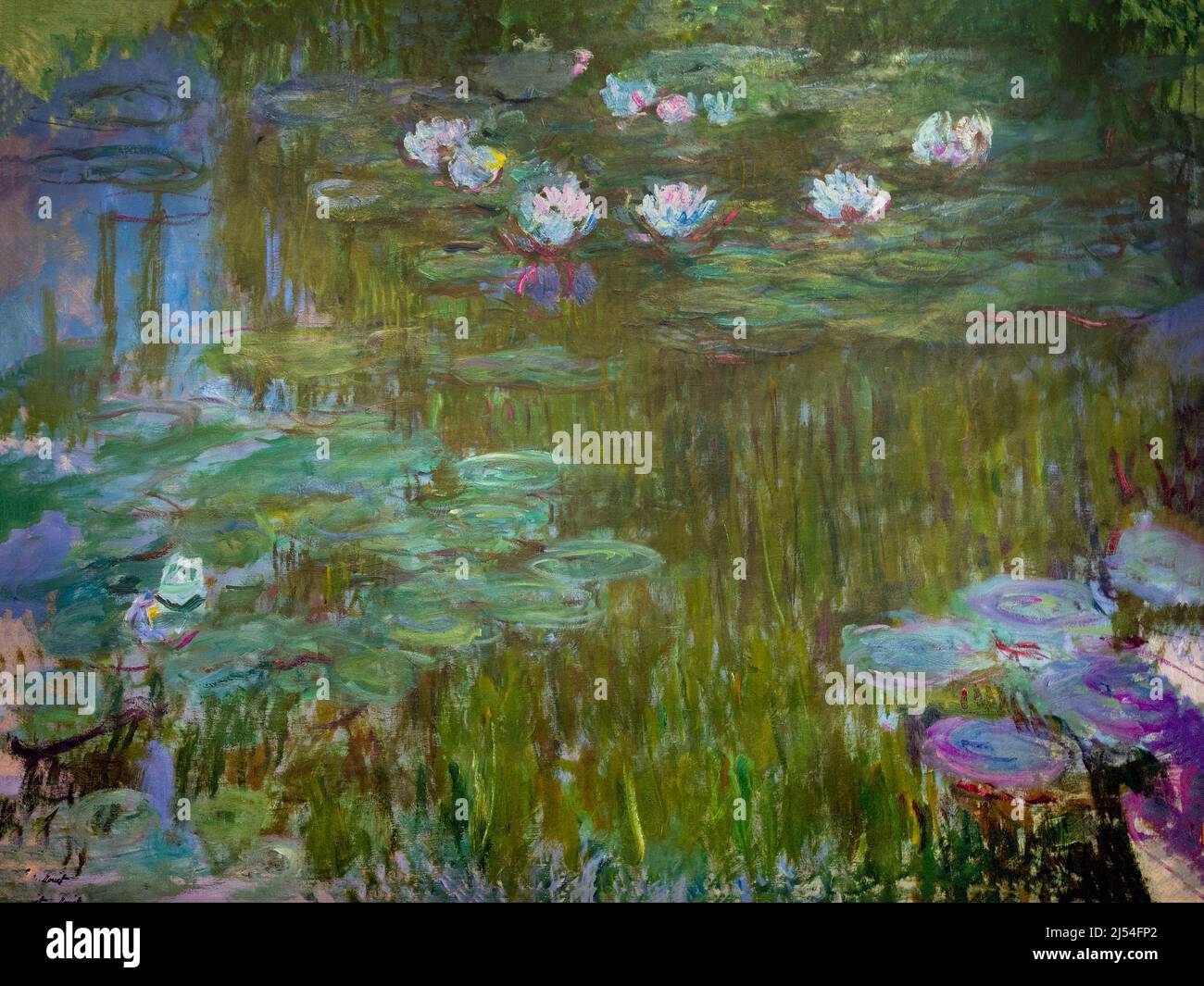 Seerosen, Nympheas, Claude Monet, Musée Marmottan, Paris, Frankreich, Europa Stockfoto