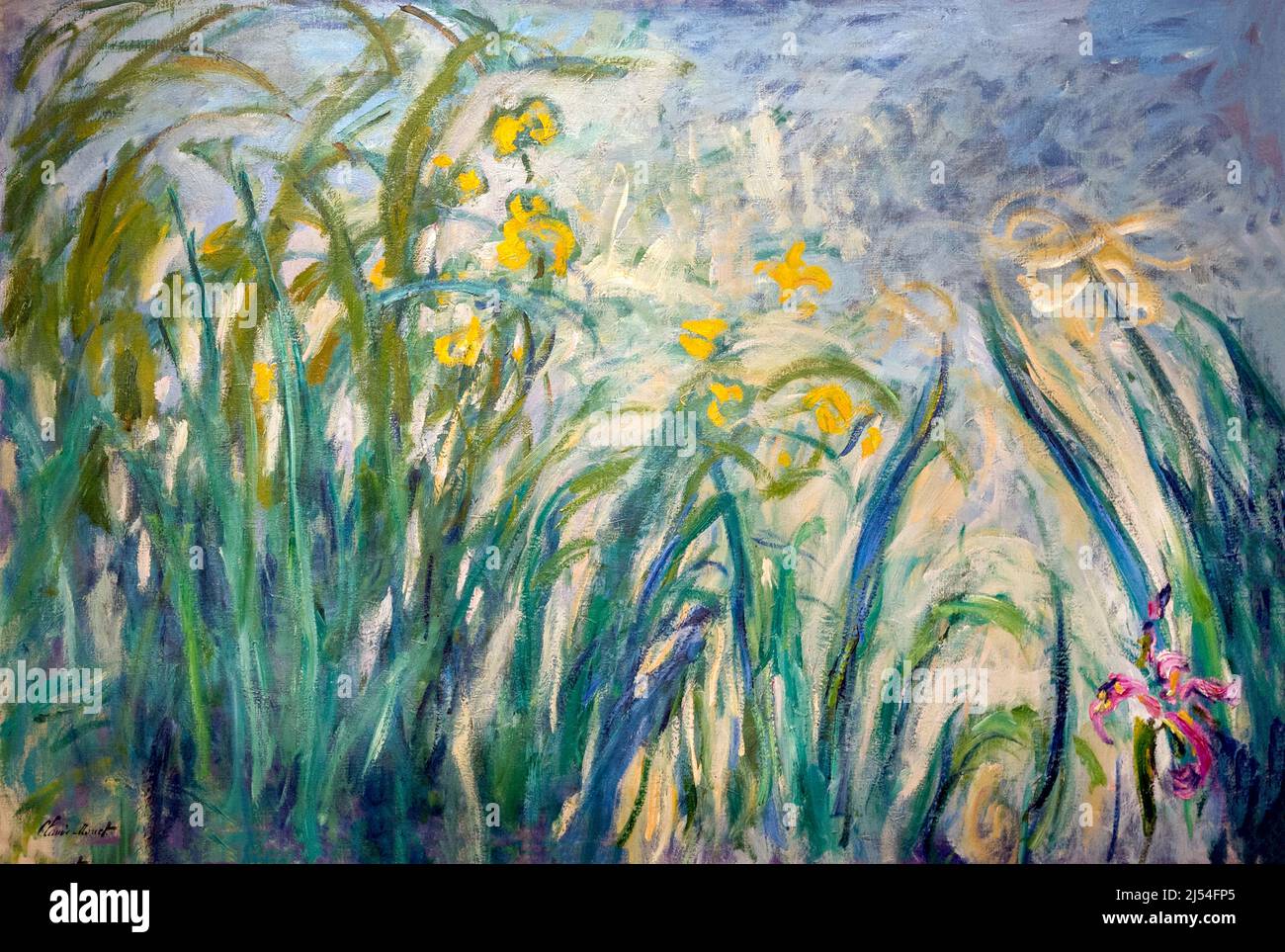 The Irises, Claude Monet, um 1915-22, Musée Marmottan Monet, Paris, Frankreich, Europa Stockfoto