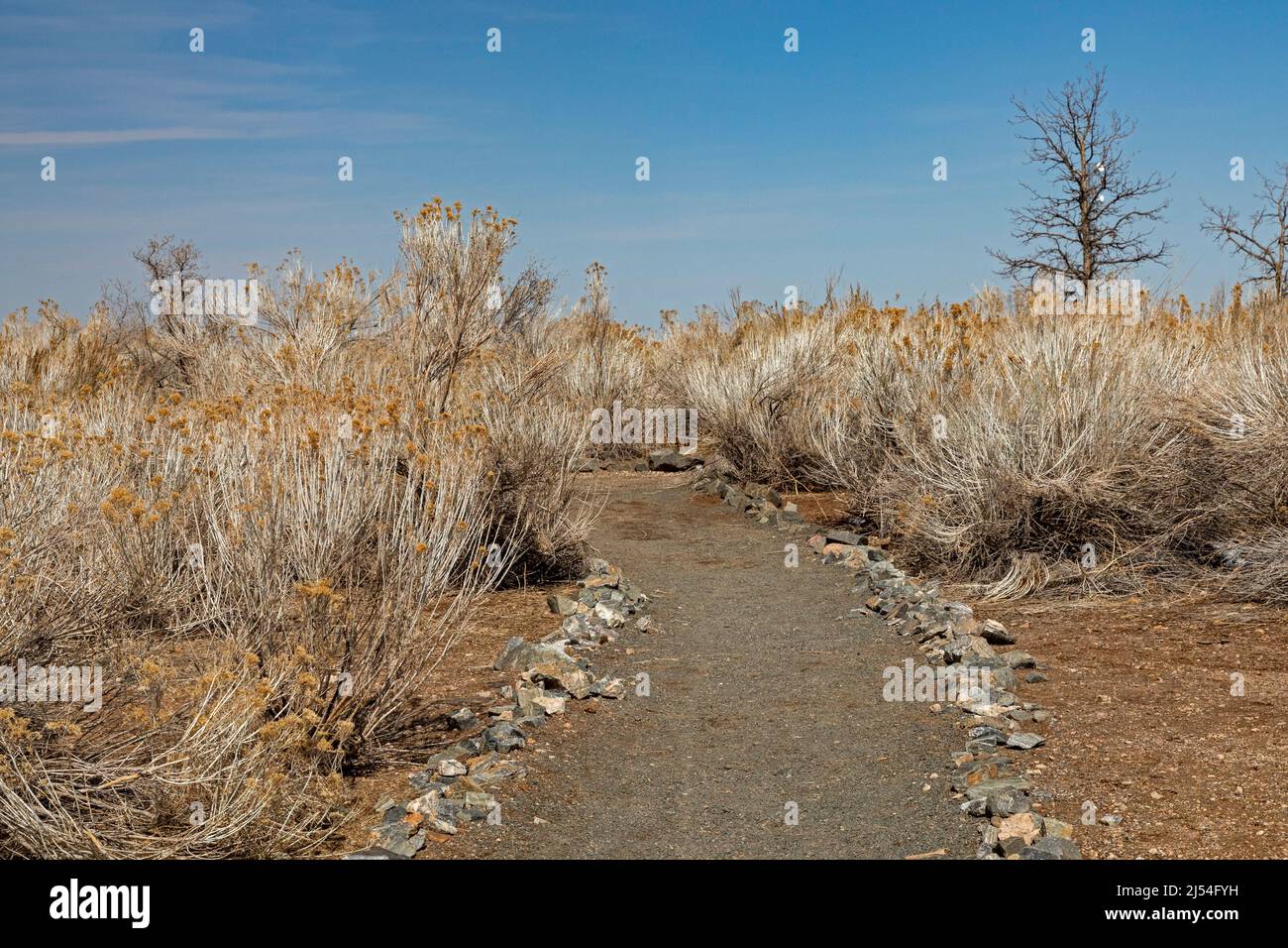 Denver, Colorado - Ein Naturlehrpfad im Bluff Lake Nature Center, einem gemeinnützigen städtischen Tierschutzgebiet und Naturunterricht. Stockfoto