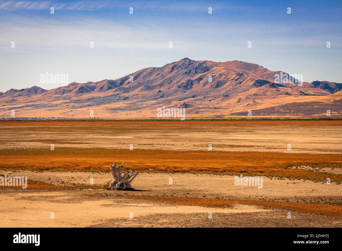Salt Lake City, Utah, USA karge Landschaft am Great Salt Lake. Stockfoto