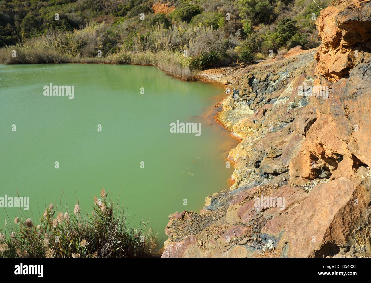 Grüner Schwefelsee Terranera, Insel Elba, Italien Stockfoto