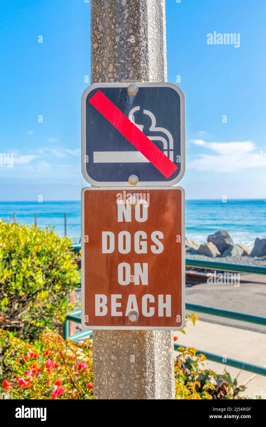 Rauchen verboten und keine Hunde auf der Strandbeschilderung in San Clemente, Kalifornien Stockfoto