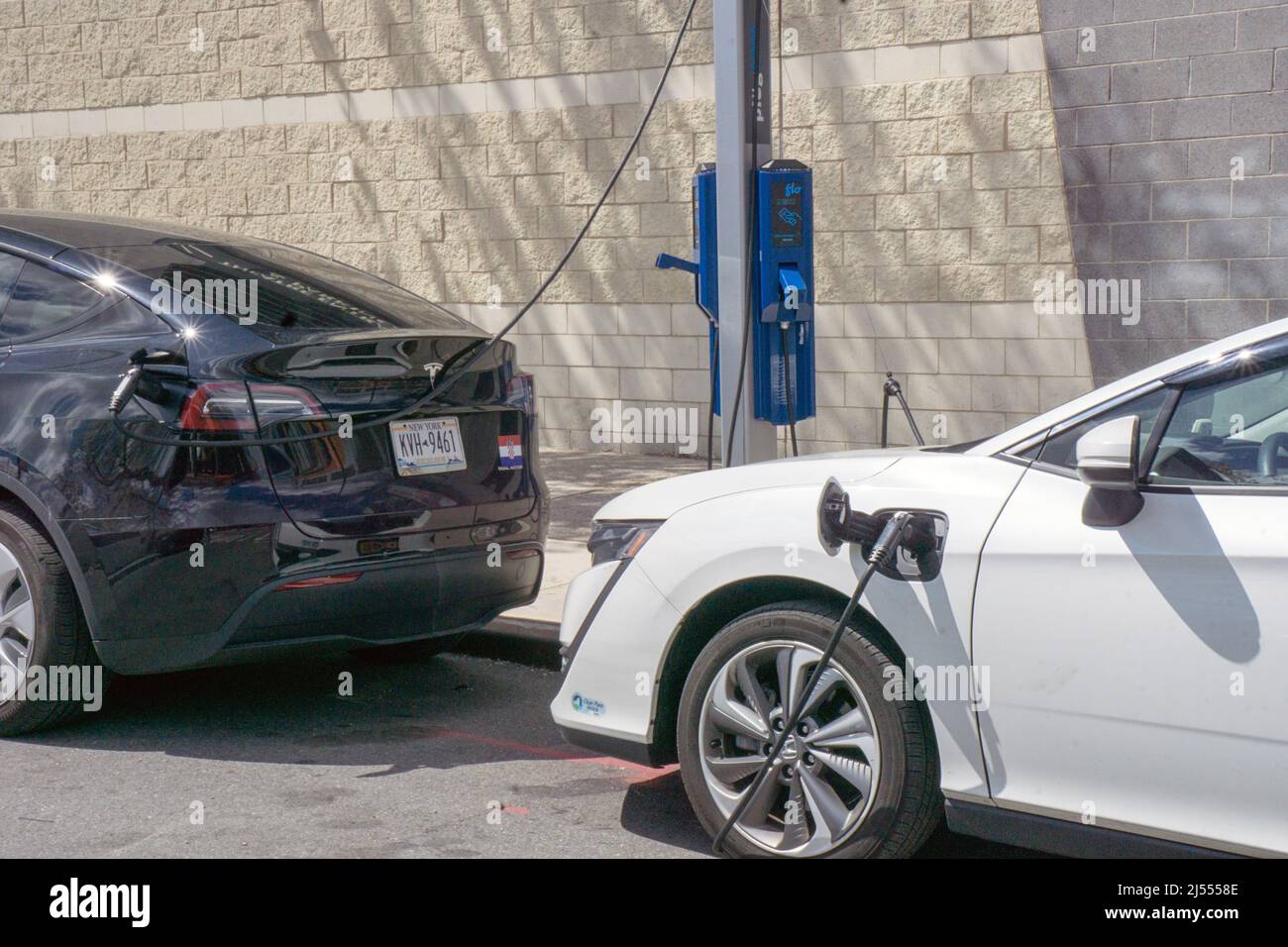 Zwei Elektroautos laden ihre Batterien an einer FLO-Ladestation in Astoria, Queens, New York City. Stockfoto