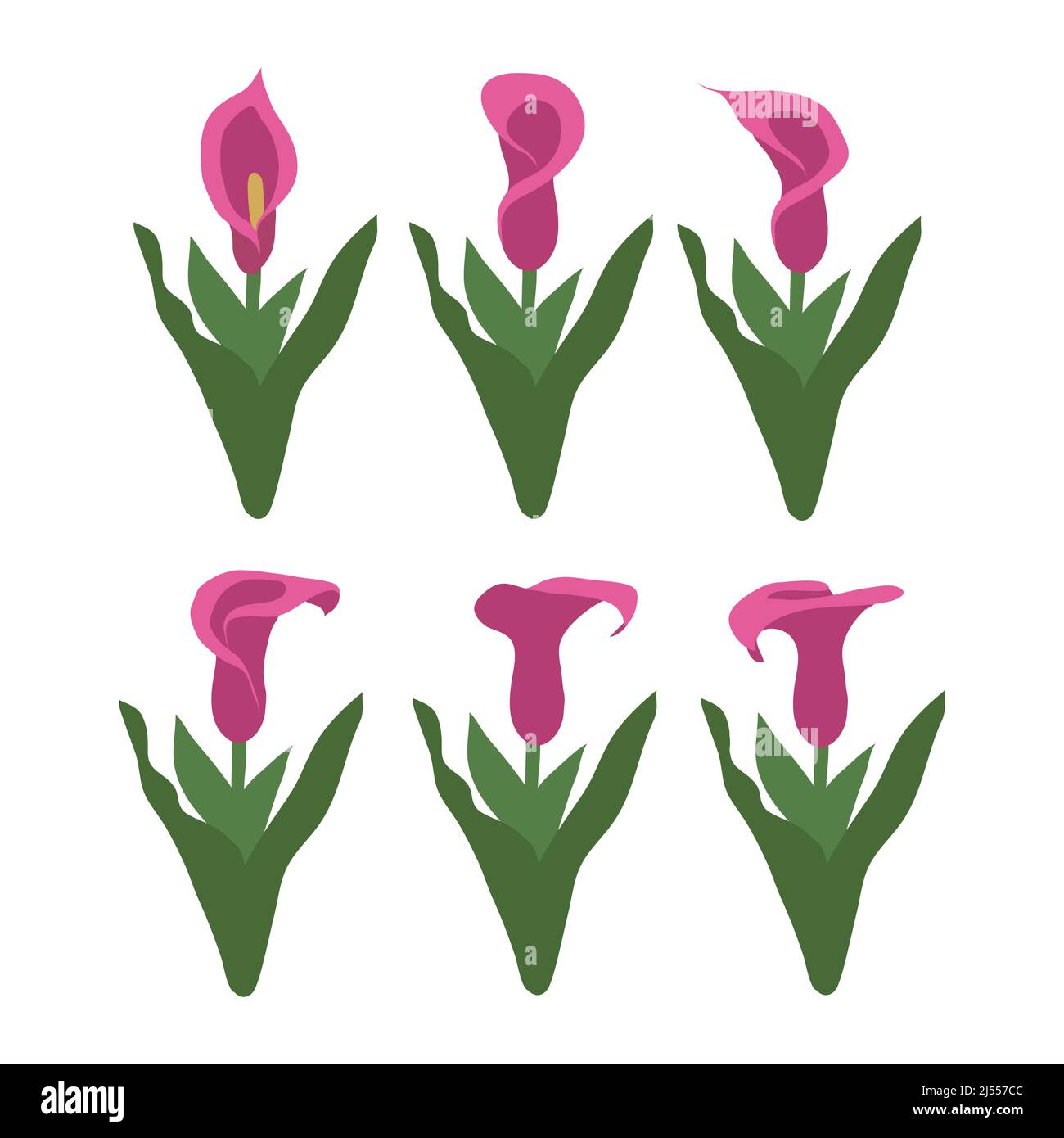 Flamingo Blumen Set Vektor Illustration Logo-Symbole Stock Vektor