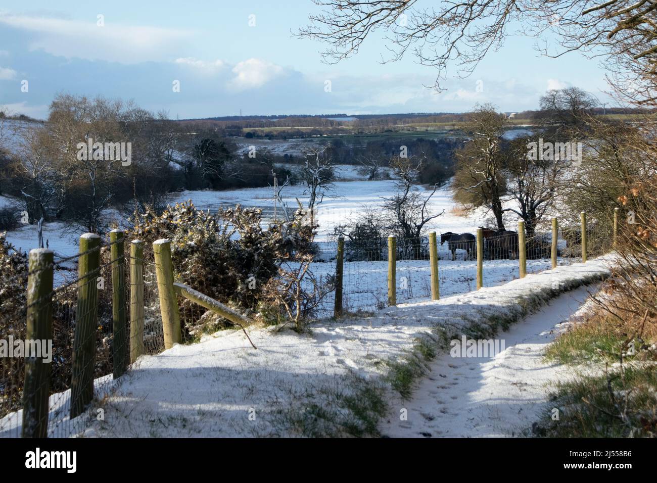 Schneebedeckte Landschaft im frühen Frühjahr Stockfoto