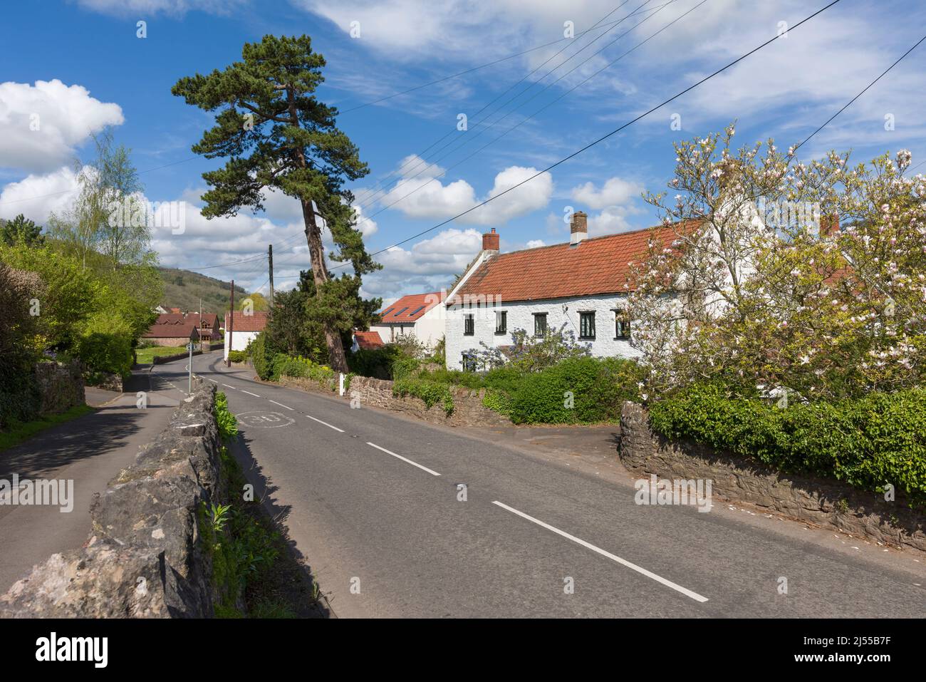 Die Hauptstraße durch das Dorf Compton Martin am Fuße der Mendip Hills, Somerset, England. Stockfoto