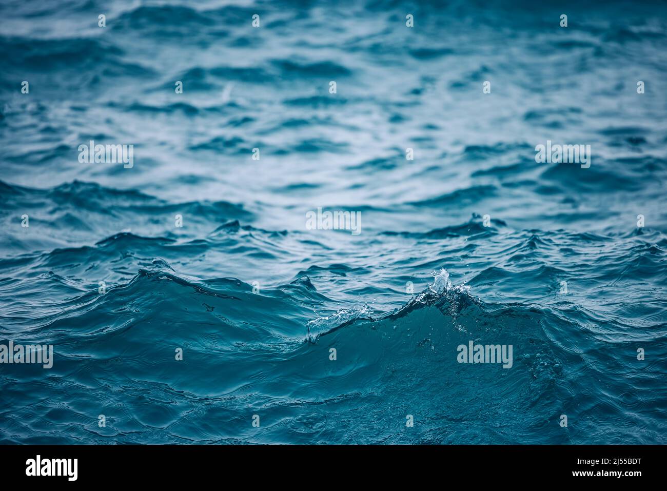 Meereswellen mit Morgennebel. Stockfoto