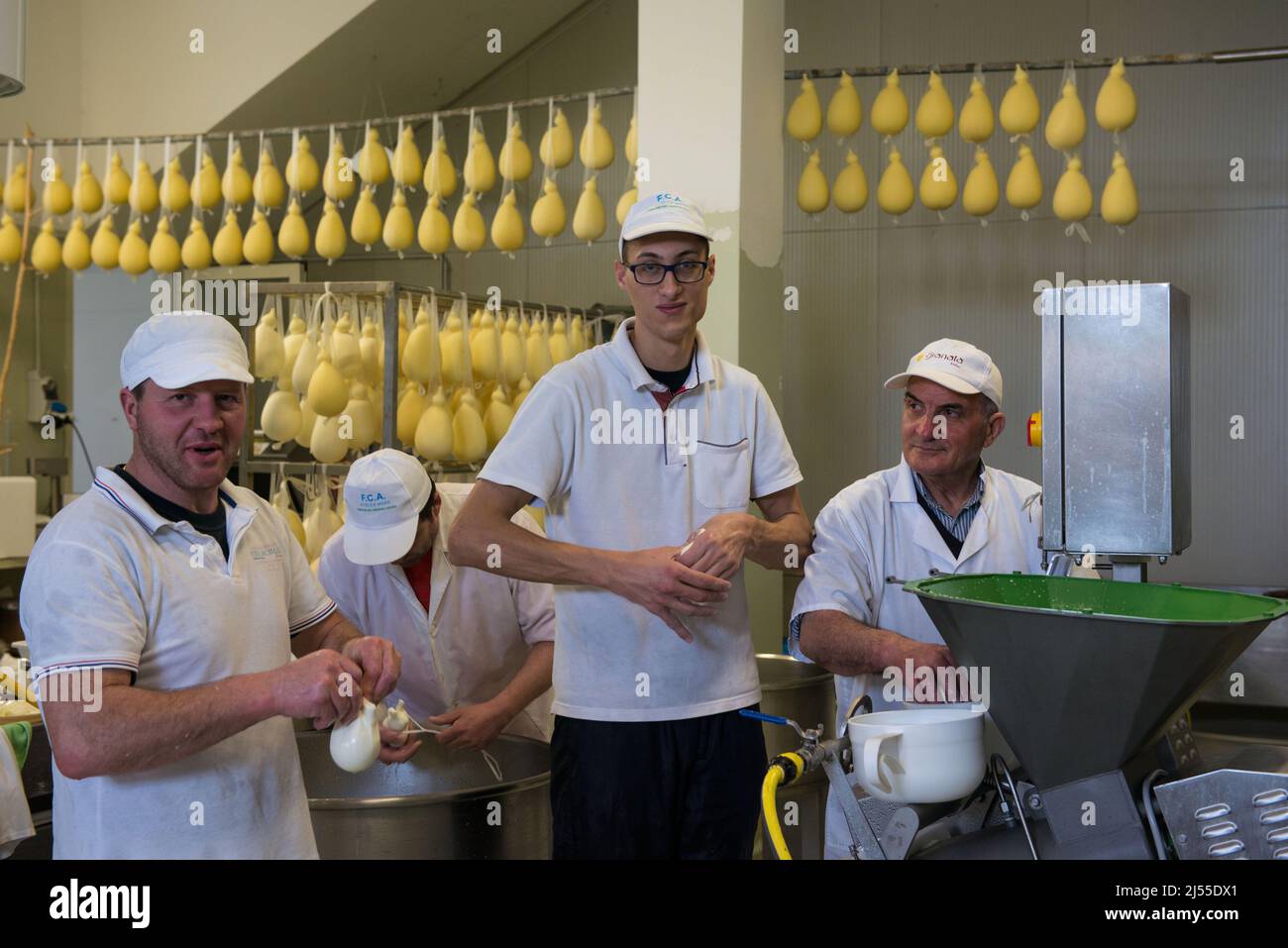 Frosolone (Isernia), Italien 12/05/2016: Milchviehbetrieb, der Caciocavallo-Käse herstellt. ©Andrea Sabbadini Stockfoto