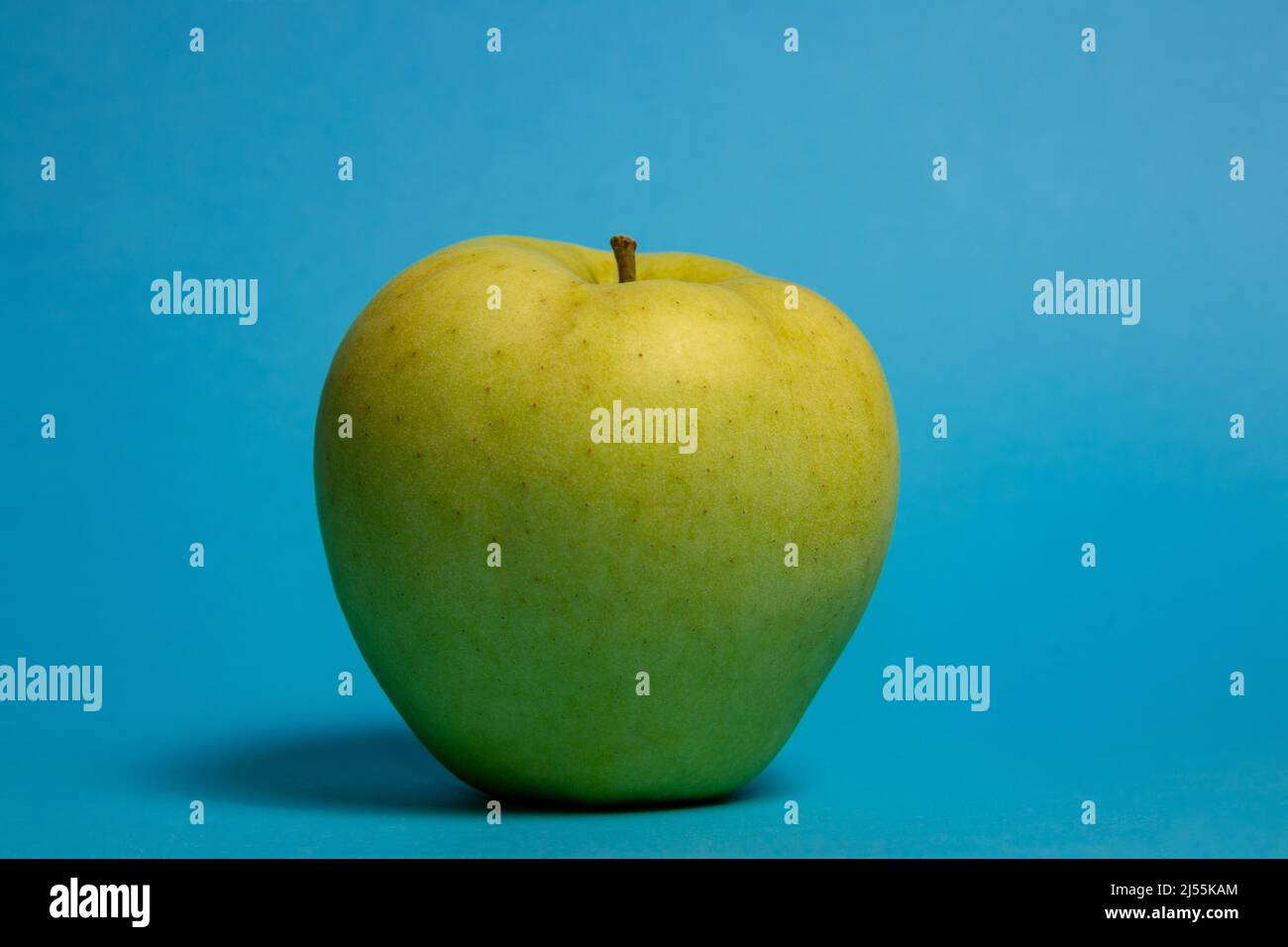 Großer grüner Apfel auf blauem Hintergrund. Golden Delicious Apfel Stockfoto