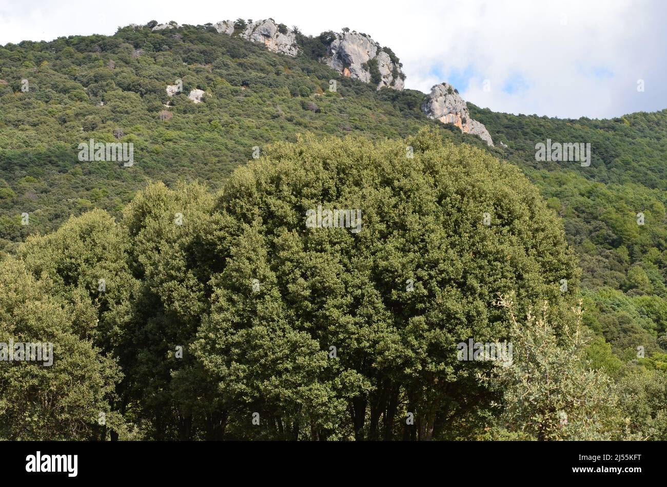 Die Peña Montañesa, Teil des Kalksteinmassivs Cotiella, Aragonische Pyrenäen Stockfoto