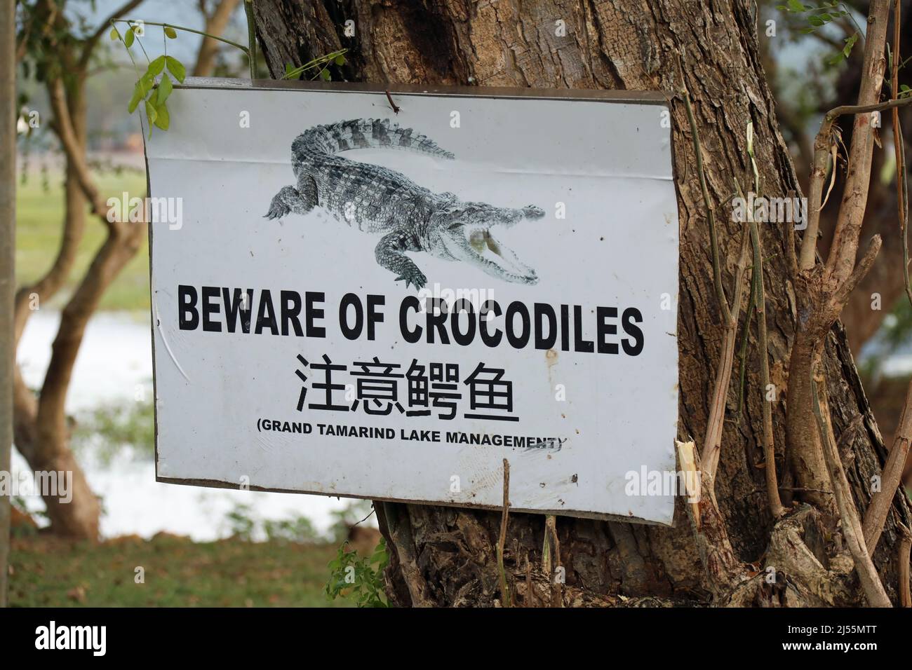 Vorsicht vor Krokodilen in Sri Lanka Stockfoto