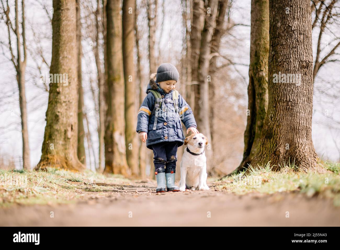 Kleines Kind in blauer Jacke mit weißem Hund Welpen Rasse Jack russel Terrier im Frühlingswald. Kindheit mit Haustieren Konzept Stockfoto