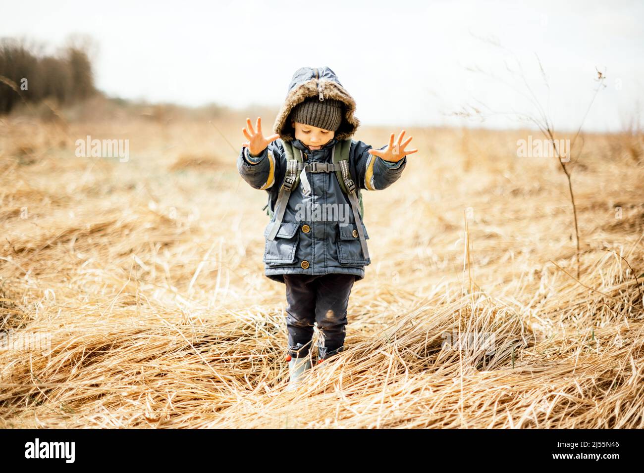 Kleines Kind im gelben trockenen Grasfeld. Kindheit mit naturliebenden Konzept Stockfoto