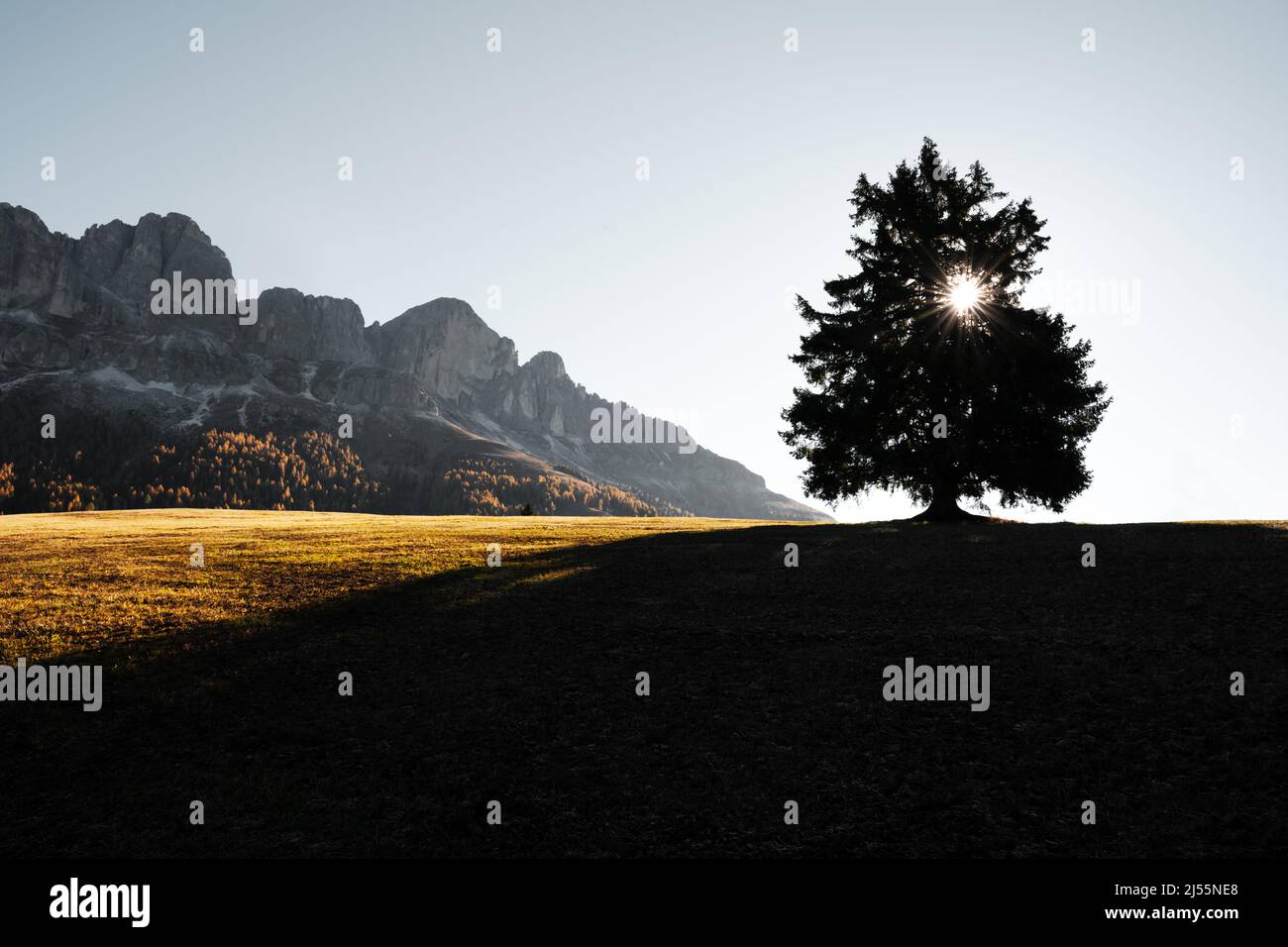 Schöne ländliche italienische Landschaft mit Herbstwiese, Baumsilhouette mit Sonne und Gipfeln hoher Berge im Hintergrund. Nigerpass (Passo Nigra), Dolomiten, Dolomiten, Italien Stockfoto