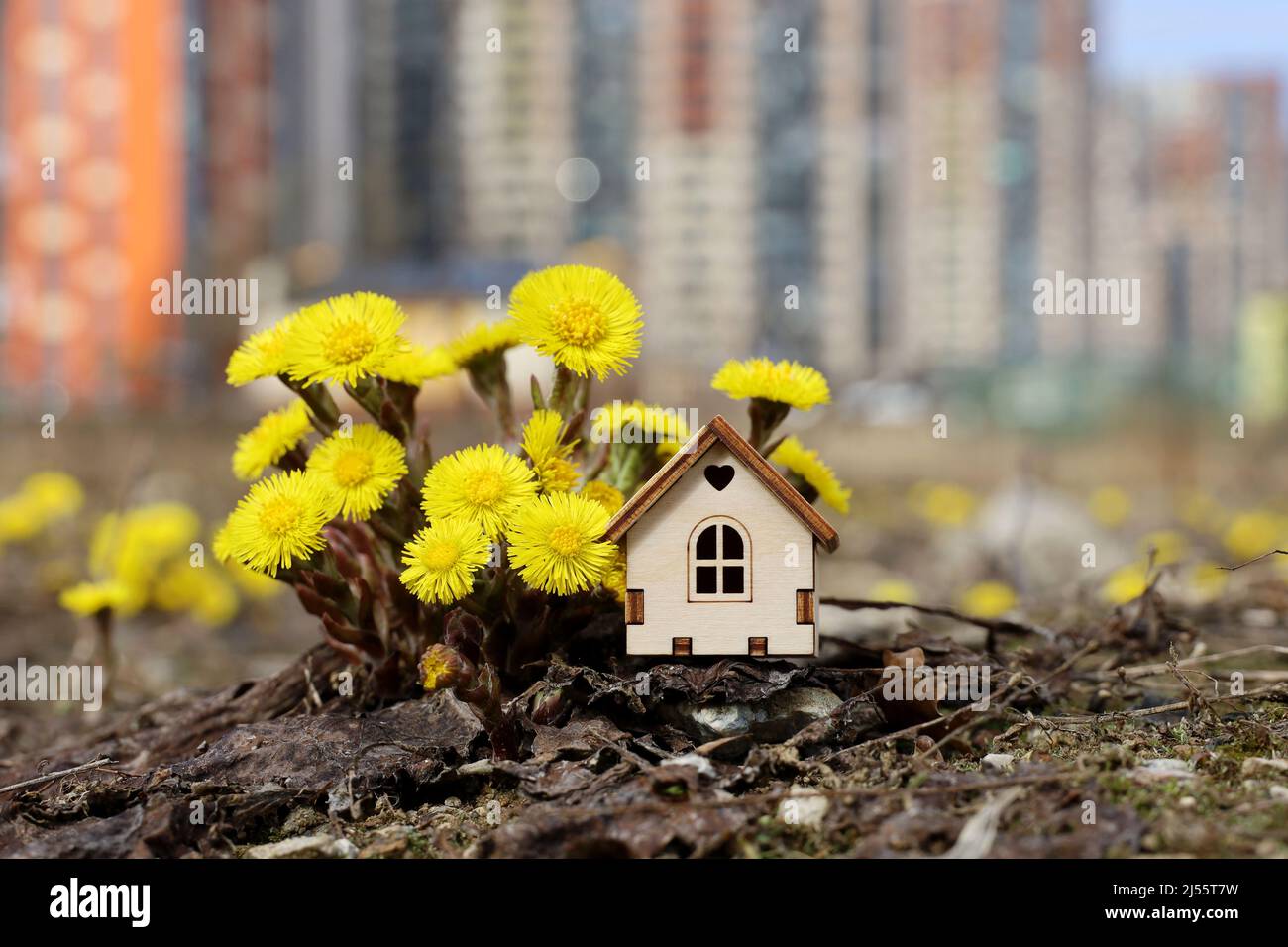 Holzhausmodell und Frühlingsblumen auf dem Hintergrund von Hochhäusern. Konzept von Landhaus, Immobilien Stockfoto