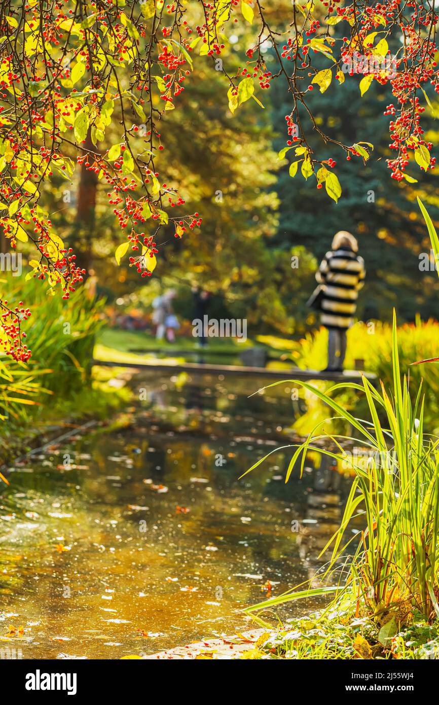 Herbstpark mit Teich. Heller, sonniger Tag. Verschwommene Silhouetten von Menschen, die zu Fuß gehen Stockfoto